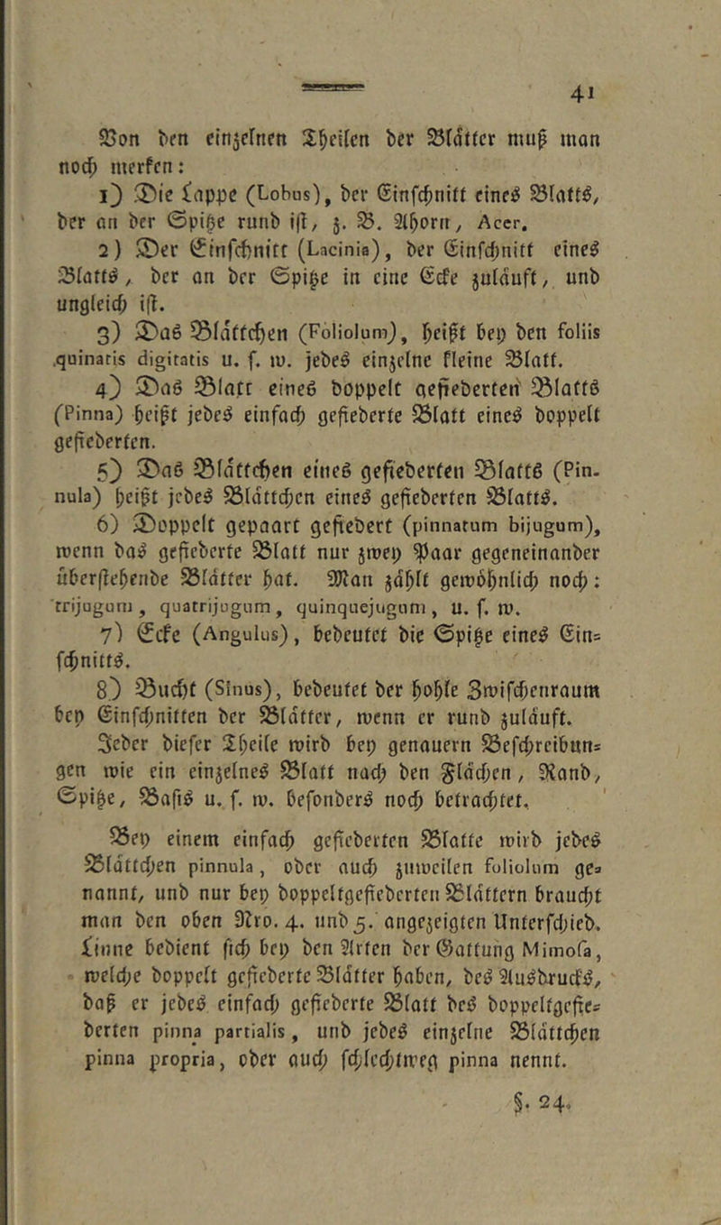 25on ^en cinjernen Z^eiUn bcr Blatter mu^ mon noc^) merfen: lappe (Lobus), ber Sinfe^nift cine^ ber art ber ©pi0e runb i(l, 5, 2(bortt, Acer. 2) $5)er (Lacinia), ber (£infcf;nitf etne^ iSIa»#, ber an ber ©pi^e in eine €cfe jutduft, unb ungicief; i(T. 3) 33fdffc^en (FoiiolumJ, bep ben folüs .quinatls digitatis u. f. \v. jebe^ elnjclnc Fleinc 4) Slatc eineß boppcic oefieberteri' 581affß fPinna) bcipt jebeß einfach gefieberie S3latt eineß hoppelt geficberfen. 5} 3)n6 58fdtfch«n eineß gefieberfen ^glottß (Pin- nula) heibt jebeß 23ldttchcn eineß gefieberten S3lattß. 6) Sboppcit gepaort gefiebert (pinnatum bijugum), rcenn boß gefieberte 23Iott nur jroep ^aor gegeneinanber uberfiehenbe SSIdtter hat. 3Kon jdhit geinohnlid; noch ♦ rrijugum , quatrijugnm, quinquejiignm , U. f. nJ. 7) €cfe (Angulus), bebrütet bic ©pi|e eineß (5in= fchnittß. 8.} Glicht (Sinus), bebrütet ber hohle Sififchonraum bep ©infehnitten ber flotter, n)enn er runb julduft. 3cber biefer 2hci[e roirb bep genauem 55efchreibuns gen n)ie ein einjelneß 23latt nach t'en flachen, 3ianb/ ©pi^e, ^afiß u. f. w. befonberß noch betrachtet, S3ep einem einfach gefieberten 23latte mirb jebeß 55ldttchen pinnula, ober auch äumcilen foliolum ge» nannt, unb nur bep boppeltgefiebcrten SSIdttern braucht man ben oben 3lro. 4. unb3. angejeigten Unterfchieb. liiine bebient fich bep ben Wirten ber ©attung Mimofa, mlüje hoppelt gefieberte Sldtter haben, beß Slußbrud'ß, bap er jebeß einfach gefieberte 23(att beß boppeltgeficc berten pinna partialis, unb jebeß einjelne 23(dttchen pinna propria, ober auch fchlcchtmeg pinna nennt. §. 24,