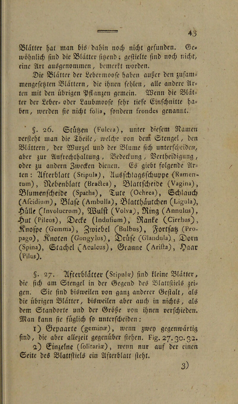 S3ltttfer ^at man bafn'n nod) ni($t gcfunbcn. (Sc* U'O^nlic^ finb bic SSldtter fi^^enb; finb md) Tiid;f, eine Sirt ausgenommen, bemerft morben. 2)ie S3ldfter ber i^ebermoofe haben au§er ben jufam* mengefenten SSldtfcrn, bie ihnen fehlen, alte anbere 2lr* fen mit ben übrigen ^ffanjen gemein. 9Benn bie ^idt* ter ber Seber* ober Saubmoofe fehr tiefe (Sinfehnitte h^* ben, merben fie nicht folia, fonbern frondes genannt, §. 26. (Sfüfeeii (Fulcra), unter biefem 3Iamcn Dcrfieht man bie Jbeilc, melchc oon beiÄ 0fengel, ben 35ldttern, ber SUurjel unb ber 25(umc fich unterfd;ciben, aber jur Slufrechtholtung , ^ebeefung , 23ertheibigung , ober ju anbern Smeefen bienen. giebt folgenbe 2lr* ten : Tlfterblatt (Stipula;, 2IuSfid)lag6fci)uppe (Famen- tum), Slcbcnbfatt (Bra£lea) , ^lattfdjeiöe (Vagina), 55lumcnfd)etbe (Spatha), ‘^ufe (Ochrea), (3d)laucf> (Afcidiiim), Sfufe (Ambulla), liBlatthdutCÜßn (Ligula), •^ülle Cinvolucrum), 3BuI(l (Volva), ?King (Annulus), ,^Ut (Pileus), 2)ecfe (indulium), Dlanfe (^Cirrhus), .^nofpe (Gemma), g'üiebcl ([Bulbus), ^OrffdB (Pro- pago), knoten (Gongylus), ^rüfe (Glandula) , 3)orn (Spina), (Stochcl ^Aculcus), ©i’aunc (Arifta), ^aac (Pilus). §. 27. TIfterbldtter (Stipula?) ftnb fleinc SSldtfer, bie fich am ©tengel in ber @egenb beS 231aftfiielS ^ei* gen. ©ie finb biSmcilen oon ganj anbercr ©cflalt, a(S bie Übrigen SIdttcr, biStoeilen aber auch in nichts , alS bem ©tanbortc unb ber @r6pe oon ihnen oerfchieben. SHan fann fie füglich fo nntcrfchcibcn: i) ©epoorfc (gemins), mcnn jmep gegenwärtig ftnb, bie aber aüejeit gegenüber (Ifh^n. F'g. 27.3c. 32. a) ©in^clne (folitarls), wenn nur auf ber einen ©eite bcS ^lattflicIS ein 2ifterb(att (Icht. 3)