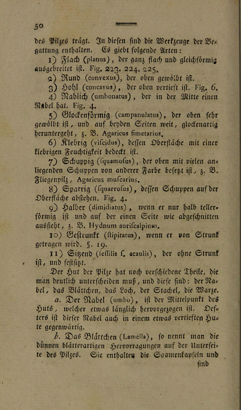 bcö frngr. Oi« biefen fmb bie SBcrfjcugc ber gottnng cnfbaUen* giebf folgcnbc 9lrtcn : l) g-lacf) (planus), ber ganj flaö) unb gleicfiforniiö au^gcbreifct ifl. Fig. 223. 224. 225^ а) 9lunb (convexus), ber oben geipolbt ij!. 3) (concavus), bcr oben oertlcft i(T. Fig. 6. 4) Öiablt'c^ (umbonatus), bcr in ber Sölifie einen 3Z«lbel ^at. Fig. 4, 5) ©locfenformtg (campanulatus), bcr oben fe^r genjölbt i(l ^ unb ouf bepben ©eiten njeit, glocfcnartig l^eruntergc^t, J. Agaricus fimetarius, б) klebrig (vifcidus), beffen iJbcrfIdcbe mit einer fiebrigen ^eucptigfeit bcbecft i(l. 7^ ©cbuppig (fquamofus), bcr oben mit ofeien ans liegenben ©cpuppen oon onbcrer ^orbe befeptifi^ 5, 58. ^liegenpiij, Agaricus mufcarius. 8) ©parrig (fquarrofus), bcffen ©4)uppen aufber £)berfidcbc ab(fcben. Fig, 4. q} -falber (dimidiatus) , mcnn er nur teficr» fbrmig i(t unb auf ber einen ©eite mic abgefc^nitten auöfiebf/ 5. Hydnum aurifcalpiuBi, 10) ©cflrunft (ftipitatus), menn er »on ©trunf getragen mirb. §. 19. 11) ©ißenö (iefillis f, acaulis), bcr obnc ©trunf » ifi, unb feflfipt. 5)cr ^uf bcr b^t noch oerfcf)iebcne Z^cile, bic man beutlicp unterfebeiben mup^ unb biefe fmb: berSlas bei/ ba^ 23ldttcben, ba^ 5?ocb/ ber ©tacpel/ bie SUJar^e. a, $Dcr 3tabe( (umbo), ift ber SRittelpunft bc^ ^utö, meicber etma^ langiid; ter^ i({ biefer 3?abei auep in einem etma^ oertieften ^us tc gegenmdrtig. b, 5X)a^ iSiorteben (Lamella), fo nennt man bic biinnen bldttcrartigen .^croorragungen auf bcr Unterfeis te be^ ^iije^. ©ic entbaiteg bie ©aamenfapfeln unb fmb
