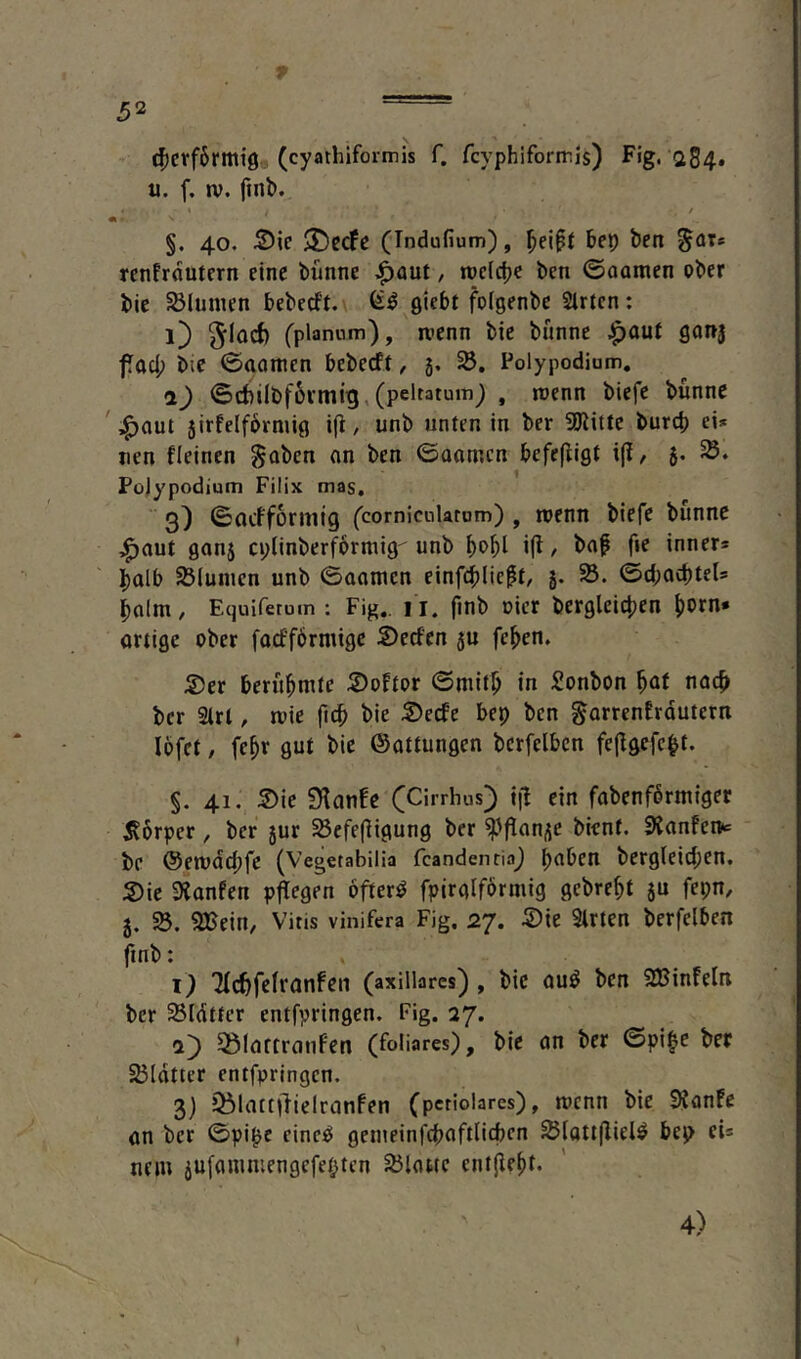 4)Ciff6rmi9. (cyathiformis f. fcyphiformls) Fig. a54« u. f, rv. finb. / «> §. 40. S)ic JDecfc (Tndufium), her) ben %<ixt rcnfrdutcrn eine bfmne ,^aut, rodele ben ©aamen ober bic Blumen bebecf’t. giebt folgenbe Sirten; 1} 3'^^^ fplanmn), roenn bic bünnc J^auf gonj fad; bie ©aamen bebeeft, 3. Polypodium. 1) ©cbilbfbvmig, (peltatuin^ , menn biefe bunnc ^ ^aut 3irfelf6rmifl , unb unten in ber 9Jlittc bureb ei* tien deinen gaben an ben ©aomen befefligt i(!, 5. PoJypodium Filix mag, 3} ©acfforniig (cornieuktom), menn biefe bunnc ;^aut 9on3 cplinberformig^ unb bo|)i tfl / 0^ inner* halb Slunicn unb ©aamen einfcblicft, 3. ©d;acbte(* halm, Equifetuin ; Fig.. I I. finb oicr bergleicben born* ortige ober faeffbrmige Seefen 5U feben. S)er berubmte 5)odor ©mitb in Sonbon nach ber 2lrl, mie bie S)ecfe bep ben garrenfrdutern lofet, febr gut bic (Sattungen bcrfclbcn fejlgefcbt. §. 41. S)ie 9lan!c (Cirrhus) i|t ein fobenfbrmiger i?6rper, ber 3ur SSefefiigung ber ^'fan3C bient. SJanfen* bc ©emdepfe (Vegetabilia feandenria^ bcrglcicpen. S)ic 9Janfen pfegen öftere fpiraiförmig gebrept 3U fepn, 3. SBein, Vitis vinifera Fig. 27. 5)ie 3lrten berfelben finb: 1) 'Mcpfclranfcn (axillares) , bic au^ ben SBinfeln ber Sldttcr entfpringen. Fig. 27. 2) ^lartranfen (foliares), bie an ber ©pipe ber 23ldtter entfpringen. 3) 35lactfielranfcn (pcriolares), menn bie SSanFe an ber ©pipe cinc^ gemeinfcpaftlicbcn 25ioti(lielö bep ei* nein 3Ufammengefebten Silattc ent(iebt. 4)