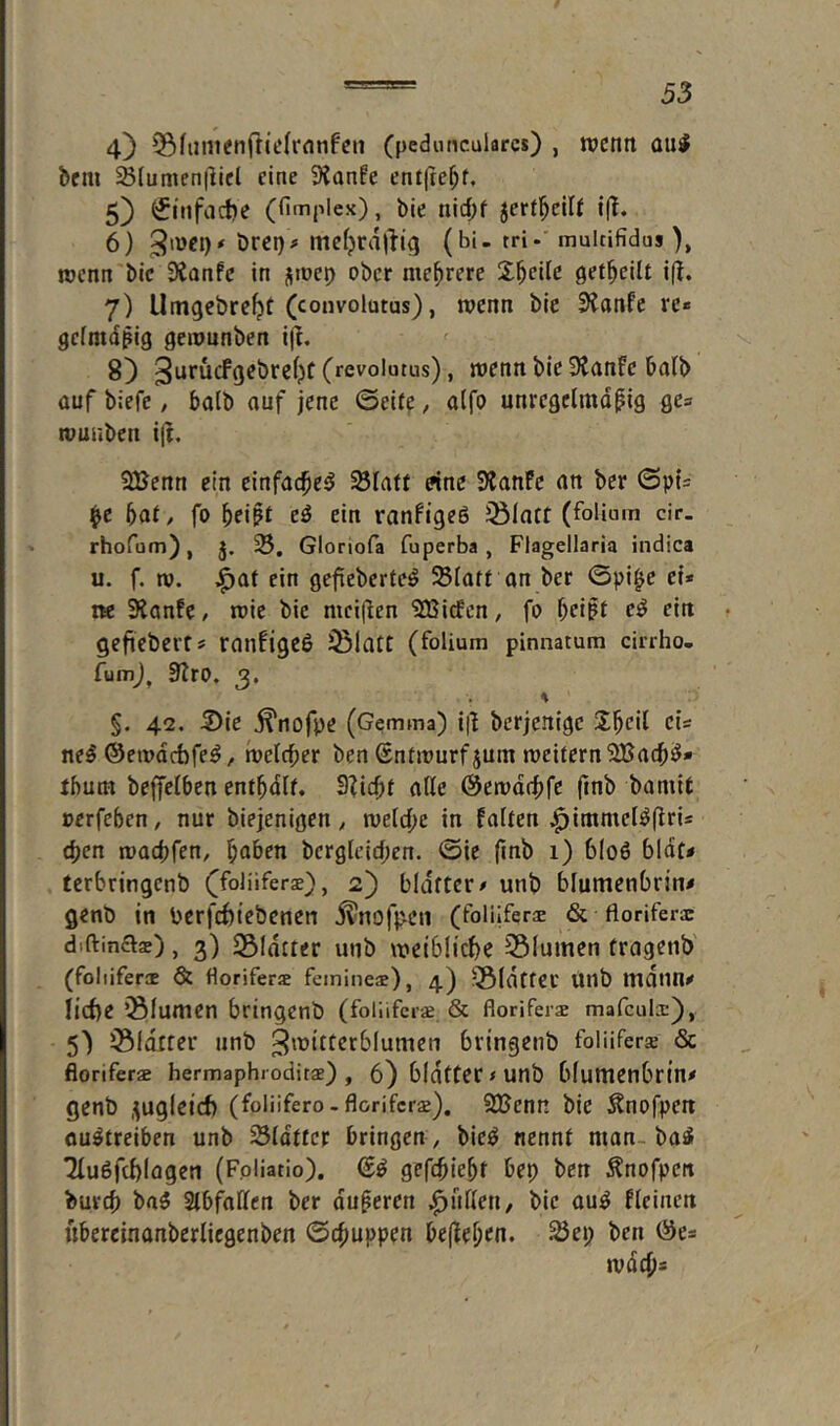 4) ^^fumenfrielrnnfcn (pcduncularcs) , wenn aiil bem ^(umenl^iel eine 9Janfe entjte^f. 5} ^infacbe (fimplex), bie nlrf;f jerf^cilf i(t. 6) örci)# ( bi. tri* multifidus ), wenn bic 3ianfc in jioei) ober mehrere Steile getl^eilt i(l. 7) Utngcbreljt (convolutus), wenn bie 3?anfc re« gefmdßig gerounben i(^. 8) » wenn bie SJanfe balb auf biefe / halb auf jene ©eifp, a(fo unregelmäßig ge= rounben i(l, 2Benn ein einfac^e^ Slaff «ne 9?anFc an ber (3pt= ^e i)at, fo ^eißr eö ein ranfigeö ißlaft (folium cir. rhofum), j. 25, Gloriofa fuperba , Flagellaria indica u. f. m. i^ar ein gefieberte^ Slaft an ber ©pi^e ei* ne 3ianfe / roic bie mci(len 'SBirfen, fo f;eißt e^ ein gefiebert s ranügeö ^latt (foUum pinnatum cirrho. fumj, 3lro, 3. % §. 42. 5)ic ^nofpe (Gemma) i|1 berjenigc J^eil cU ne5 ©emdrbfe^, beld^er ben ßntmurf jum meiternSBaef)^» tbum beffelben enthalt. 3?ic^t alle ©emdebfe finb bamit »erfeben, nur biejenigen ^ mld)c in falten ^immcl^flrU (^en madjfen, ^aben bcrgleid;en. ©ie finb 1) 6I06 blot* terbringenb ((foliifers), 2) bldftcr* unb blumenbrin^ genb in Perfebtebenen ^nofj>cii (folilferx & floriferx diftina®), 3) 23ldtter unb meiblicbe 25lumen fragenb (foliifercB & florifers femineae), 4) rSldtteu Unb mdnn« liebe iBlumen bringenb (foliifcr^ & floriferae mafeula:), 5) iBldrter unb ^mitterblumen bringenb foliiferse & floriferae hermaphroditae) , 6) bldtter<unb blumenbrtn# genb ,zugleich (folüfero.floriferae). SBenn bie Änofpen ouötreiben unb Sldttcr bringen , bie^ nennt man-baS Tlußftblagen (Fpliatio). gefebiebt bep ben ^nofpen bureb ba5 StbfdUcn ber äußeren pullen, bie au^ fleinen ubereinanberlicgenben ©cfiuppen beflejjen. 23ei; ben Öe* mdeb*