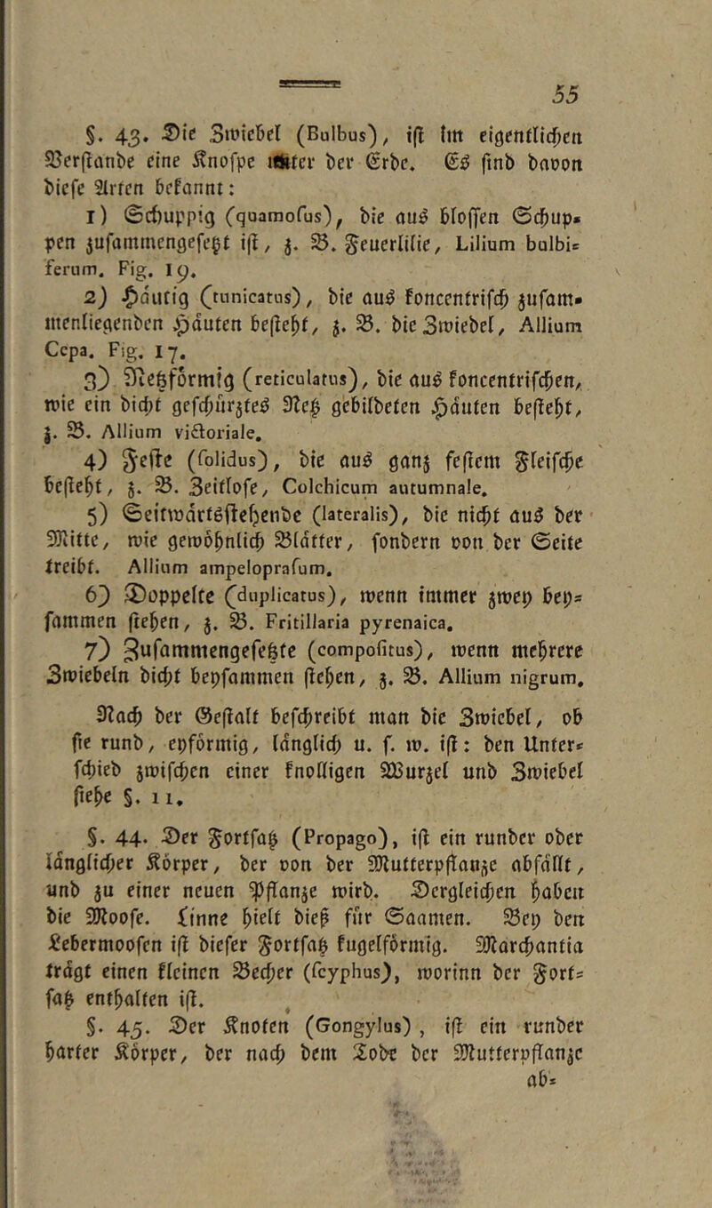§. 43* Stviclöcl (Bulbus), i(l tm ti^entlid)en 9?er(ianbe eine Änofpe ilfctee bei* 6rbe. 6^ ftnb baoon biefe Slrren befannt: 1) ©cf)uppig (quamofus), ble Moffen ©d^up» pen jufammengefe^t i\l, j. S5. ^euerlKie, Lilium bulbi= ferum. Fig. ip, 2) ^durig ([tunicatus), ble au^ foncentrifdb jufam» tnenliegenben Jpduten be(le^f, j. ble3n?ieber, Allium Cepa. Fig. 17. 3) D’ieöformlg (reticulatns), ble foncentrlfc^en,, trie ein blc^f gefc^ür5feö 3te^ gebllbefen Rauten befielt, J. Allium vidoriale, 4) (folidus), ble auö ganj feflem be(!e^t, J. SeUIofe, Colchicum autumnale, 5) ©eitwdrföfte^enbc (lateralis), ble nlc^t ber- SOiUte, niie getoo^nlli^ Sßldtfer, fonbern oon ber ©eite treibt. Allium ampeloprafum, 63 3)üppeltc (^duplicatus), njenn immer 5n)ep bei;* fnmmen (teben, J. Fritillaria pyrenaica, 7} S^r^tntmengefeöüe (compofitus), trenn mehrere Smiebeln bic^t bepfammen (leben, 3. Allium nigrum, 3?ocb ber @e(ia(t befebreibt man ble Smicbel, ob fie runb, epformig, tanglid; u. f. tr. i(!: ben Unter« febieb jmifeben einer fnofdgen SBurjei unb Smiebel fiebc §. 11. §. 44. 2)er §ortfü|i (Propago), i(l ein runber ober Idngdcber Körper, ber ron ber SÖlutterpftan^c abfafit, anb 5u einer neuen ^(Tanje trirb. dergleichen b^ben ble iöloofe. iinne blep für ©aamen. ^ep ben Ücbermoofen iß blefcr fugelformig. EOlorebantIa Irdgt einen flelnen Seeber (feyphus), morlnn ber gort« fa| enthalten 1(1. §. 45. der knoten (Gongylus) , i(l ein runber börter Äorper, ber nach bem 2obt ber SHutterpflan^c ab*