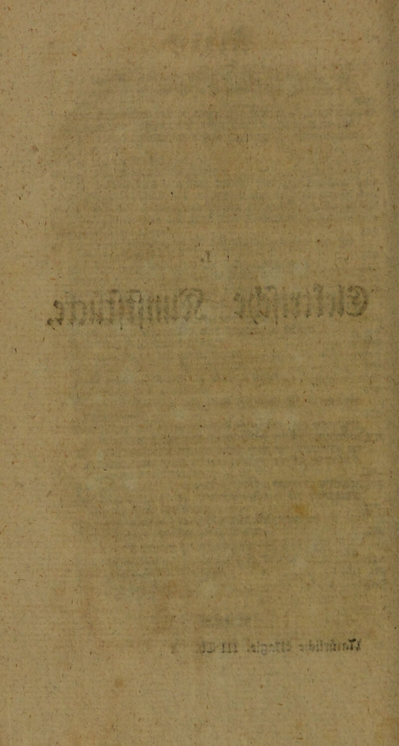 I . ' - ' lli z.?^:VjäinTx 'M