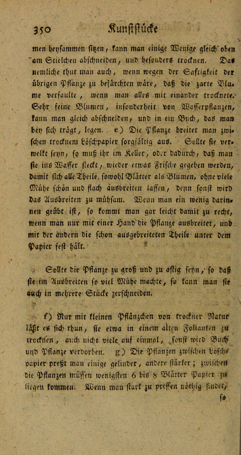 wen bei^fommen fißfn / fann man einige TOcnIge gleich'oben ■'öm ©tiel^eii abfrfjneiDen, miB befouBerg troefnen. 2)ai nemlicbe tbut man aud), menn rcegen Ber ©nfrigfeit Ber übrigen ^flanje ju befärebten «rare, Ba§ Bie jarte '2>Iu« me rerfouite , «renn man affeö mit einanBer troefnete.' ©ebr feine ©fumen, infonBcrbeit ron. JlBafferppanjen, fann man glcicb abftbnciBen/ uftB in ein ^«id«, Baö man bc«) fitb e) S)ie ? Pan je breitet man j«ri« fdjen trocfncni ßofdjpapier forgfairrg aug. ©ollte fie rer. irelft feijm fo mu§ «br Im ÜeHer, oBer BaBiircb/ Ba§ man (»e irtgXC'aper Peeft / micBer ettrag grifebe gegeben «rerBen, Damit pcb alle 2:'beife, fomobl glatter aJg'^lumen, obneriele CDi'übe fdjbn unB Pacb äugbreifen laflfen / Bepn fpnP trirB Dag 2(ugbreitcn ju mübfam. ^enn man et'n trenig Darin* nen gewbt ip, fo fommt man gar (eid)t Damit ju recht, trenn man nur mit einer ^anB Die ^Panje augbreifet, unD. mit Der anBern Die fdjon auggebreiteten iibeite unter Dem ya^ier fep bnft‘ ^ ^ ©oPfe Bie <ppanje ju grop unB jn affig fet)n / fo Bap tte.lm 2(ngbreiten fo riel 93?übe machte, fo fann man pe auch in mehrere ©tücfe jerfd^neiDen. f) iftur mit ffeinen ^Pdnjchen ron troefner Statur I^t cg p<h fbun, pe et«ra in einem alten goUanten jn trctfifen , andi nid)t riefe auf einmal, ^fonp «rirD 53ii(hf uqB ^Panje verBorben. g) E^ie ^Pnnjen j«rifd)tn 5of(^p pepier prept man einige geliiiBer, onDcre pdrfcr; jivifcheit Bie 'PPanjen tnupen menigpen 6 big 8 ^Idrtcr paplcr jn Hegen fommen. SCGenn man pari ju pvepen nkpig pjiBct/ fo