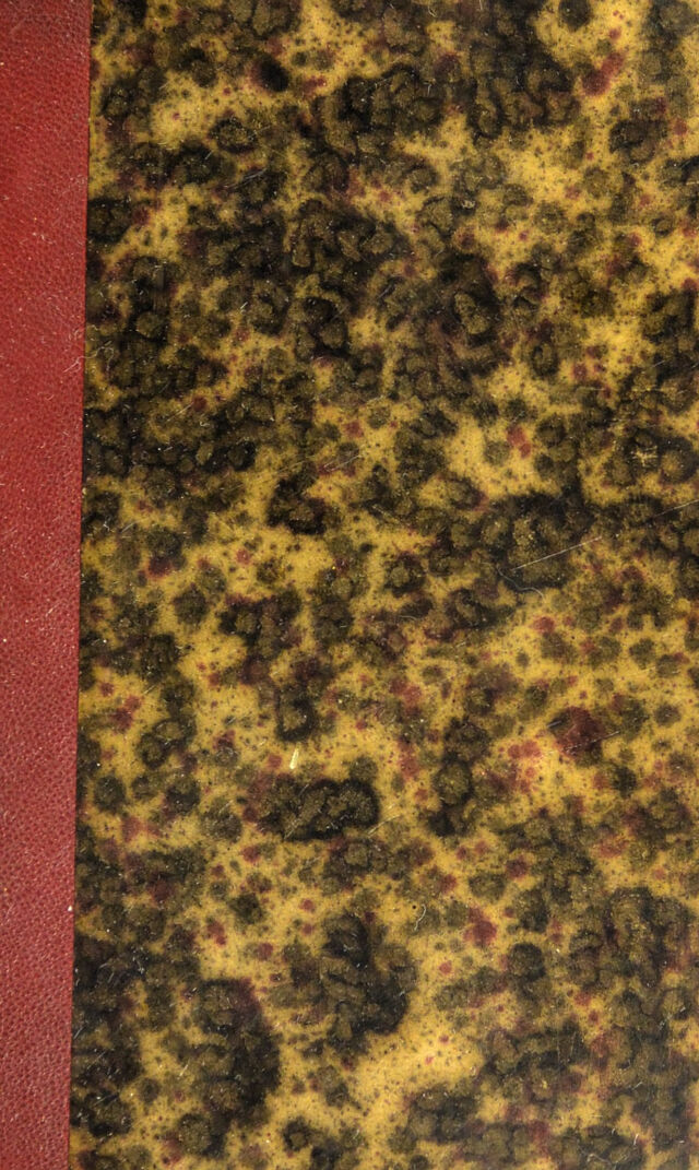 No text description is available for this image