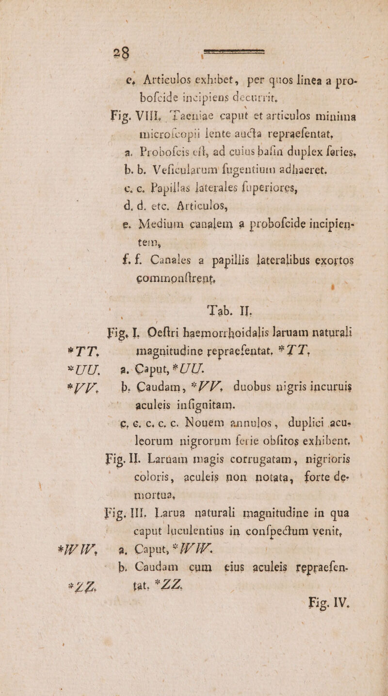 - e, Articulos exhibet, per quos linea a pro- bofcide incipiens decurrit, Fig. VIIL, Taeniae caput et articulos minimas microfcopii lente aucta repraefentat, a. Probofcis eft, ad cuius bafia duplex feries, b. b. Veficularum fugentium adhaeret. - €. c. Papillas laterales fuperiores, d. d. etc. Articulos, ! e. Medium canalem a probofcide incipien- tem, | f.f. Canales a papillis lateralibus exortos commonfirent, ^ ds dab. IL Fig. I. Oeflri haemorrhoidalis laruam naturali | VIT ' magnitudine repraefentat, *TT, *[JU. 8.Caput, *UU. «VV. b Caudam, */P. duobus nigris incuruis aculeis infignitam. | €,€. c.c. c. Nouem annulos, duplici acu. leorum nigrorum ferie obfitos exhibent, Fig. I. Larbam magis corrugatam, nigrioris | coloris, aculeis non notata, forte de: mortua, Fig.lI. Larua naturali magnitudine in qua caput luculentius in confpectum venit, *IV IU. ^a. Copu * IZ IF. b. Caudam cum eius aculeis repracfen. *ZZ. tat. ZZ. | Fig. IV.