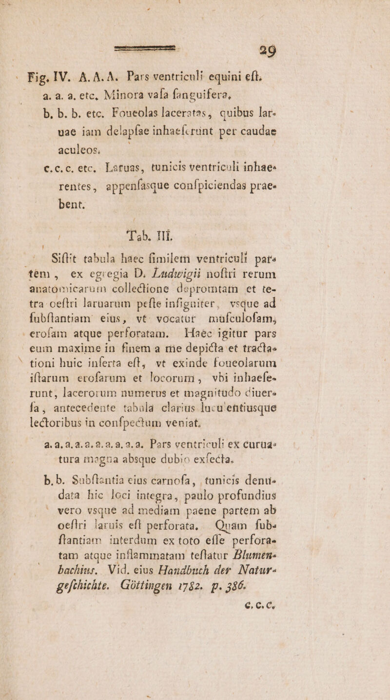 Fig. IV. A. A. A. Pars ventriculi equini eft a. a. a, etc, Minora vala fanguifera, b. b. b. etc. Foueolas laceratss, quibus lar- uae iam de! apfae inhaefcrunt pet caudae aculeos. | c.c.c. etc, Laruas, tunicis ventriculi inhae: rentes, appenfasque confpiciendas prae« bent. 'Tab. Ili. Si(t tabula haec fimiletn ventriculi par tem, ex egregia D. Ladwigii noftri rerum iiotioicanat collectione depromtam et te- tra ceftri laruarum pefle infigaiter, vsque ad. fubíflantiam. eius, vt. vocatüt müfculofam, erofam atque perforatam. Maec igitur pars eum maxime in finem a mie depicta et tracta« tioni huic inferta eft, vt exinde foueolarum iflarum erofarum et locorum , vbi inhaefe- runt, lacerorum numerus et magnitudo diuers fa, antecedente tabula clarius lucu'entiusque lectoribus in confpectum veniat. N 2.3, 3,2.2,3.2.8. 2.2. Pars ventriculi ex curua« tura mogna absque dubio exfecta. b.b. Subflantia eius carnofa, tunicis denu data hic loci integra, paulo profundius vero vsque ad mediam paene partem ab oeflri laruis eft perforata, — Quam | fub. flantiam. interdum ex toto efle perfora« tam atque inflammatam teflatur Blumen bachiur. Vid. eius Handbuch der. Natur- gefthichte. Güitingen 1782. p. 386. e, C. C,