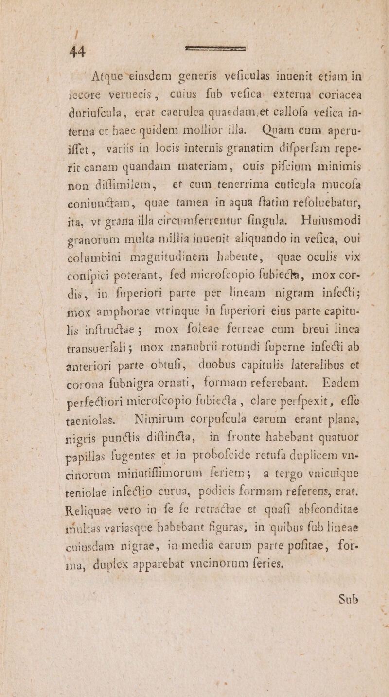 — Atque eiusdem generis veficulas inuenit etiam in iecore veruecis, cuius fub vefica/ externa coriacea duriufcula, erat caerulea quaedam.et callofa vefica in- terna et haec quidem mollior illa. Quam cum aperu- iffet, variis in locis internis granatim difperfam repe- rit canam quandam materiam, ouis pifcium minimis non diffimilem, | ef cum tenerrima cuticula mucofa coniunctam, quae famen in aqua ftatim refoluebatur, ita, vt grana illa cireumferrentur fingula. Kuiusmodi granorum multa millia inuenit aliquando in vefica, oui columbini magnitudinem habente, quae oculis vix conípici poterant, fed microfcopio fubiecla, mox cor- dis, in fuperiori parte per lineam nigram infedii; - mox emphorae vtrinque in fuperiori eius parte capitu- lis inflructae ; mox. foleae. ferreze. cum. breui linea transuerfali; mox manubrii rotundi füperne infecti ab anteriori parte obtufi, duobus capitulis lateralibus et corona fubnigra ornati, formam referebant. Eadem perfectiori microfcopio fubiecla, clare perfpexit, effe taeniolas. | Nimirum corpufcula earum erant plana, nigris punctis diftincta, in fronte habebant quatuor papillas fuentes et in probofcide retufa duplicem vn- cinorum minutiffimorum feriems a tergo vnicuique teniolae infectio curua, podicis formam referens, erat. Reliquae vero in fe fe retractae et quafi abfconditae iiultas varíasque habebant figuras, in quibus fub lineae cuiusdam nigrae, in media earum parte pofitae, for. ima, duplex apparebat vncinorum feries, $à Sub