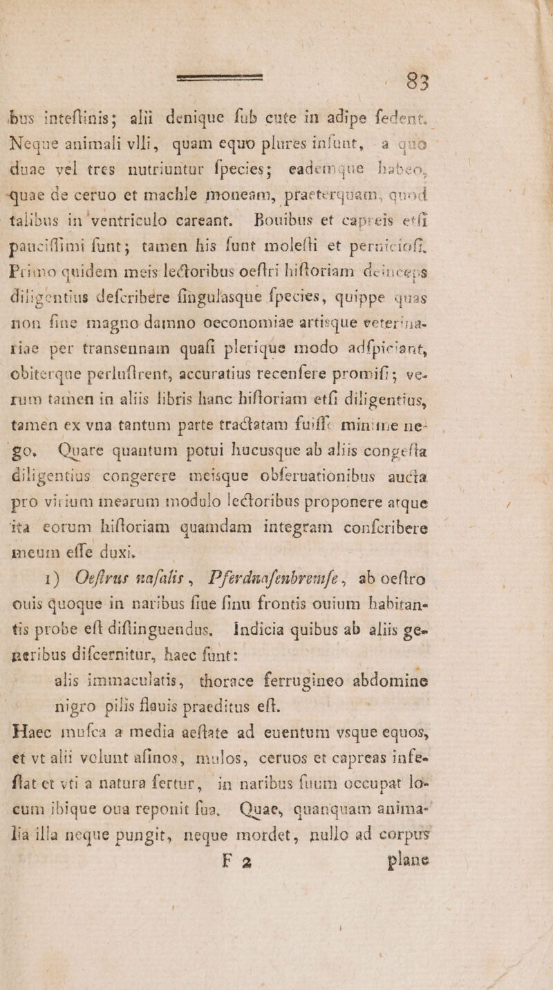 — «83 Neque animali vlli, quam equo plures infunt, a quo duae vel tres nutriuntur fpecies; eademque babeo, quae de ceruo et machle moneam, praeterquam, quod talibus in ventriculo careant. Bouibus et capreis bed pauciffimi funt; tamen his funt moleíli et peruiciofr. Primo quidem meis lectoribus oeflri hiftoriam deinceps diligentius defcribere fingulasque fpecies, quippe quas non fine magno damno oeconomiae artisque veter'i;a- riae per transennam quafi plerique modo adfpiciant, obiterque perluflrent, accuratius recenfere promifi; ve. rum tarnen in aliis libris hanc hifloriam etfi diligentius, tamen ex vna tantum parte tractatam fuiffc minitne ne: £o. Quare quantum potui hucusque ab aliis congeíta diligentius congerere meisque obferuationibus aucta pro virium mearum modulo lectoribus proponere atque ita eorum hiftoriam quamdam integram confcribere meum effe duxi, — — 1) Oefirus nafalis, | Pferdnafenbremfe, ab oeftro ouis quoque in naribus ftue finu frontis ouium habiran- tis probe eft difinguendus, —Indicia quibus ab aliis ge- peribus difcernitur, haec funt: alis iminaculatis, thorace ferrugineo abdomine nigro pilis flauis praeditus eff. Haec mufca a media aeflate ad euentum vsque equos, et vt alii volunt afinos, mulos, ceruos et capreas infe- flat et vti a natura fertur, in naribus fuum occupat lo- cum ibique oua reponit fuo, Quae, quanquam anima- lia illa neque pungit, neque mordet, nullo ad corpus F3 plane