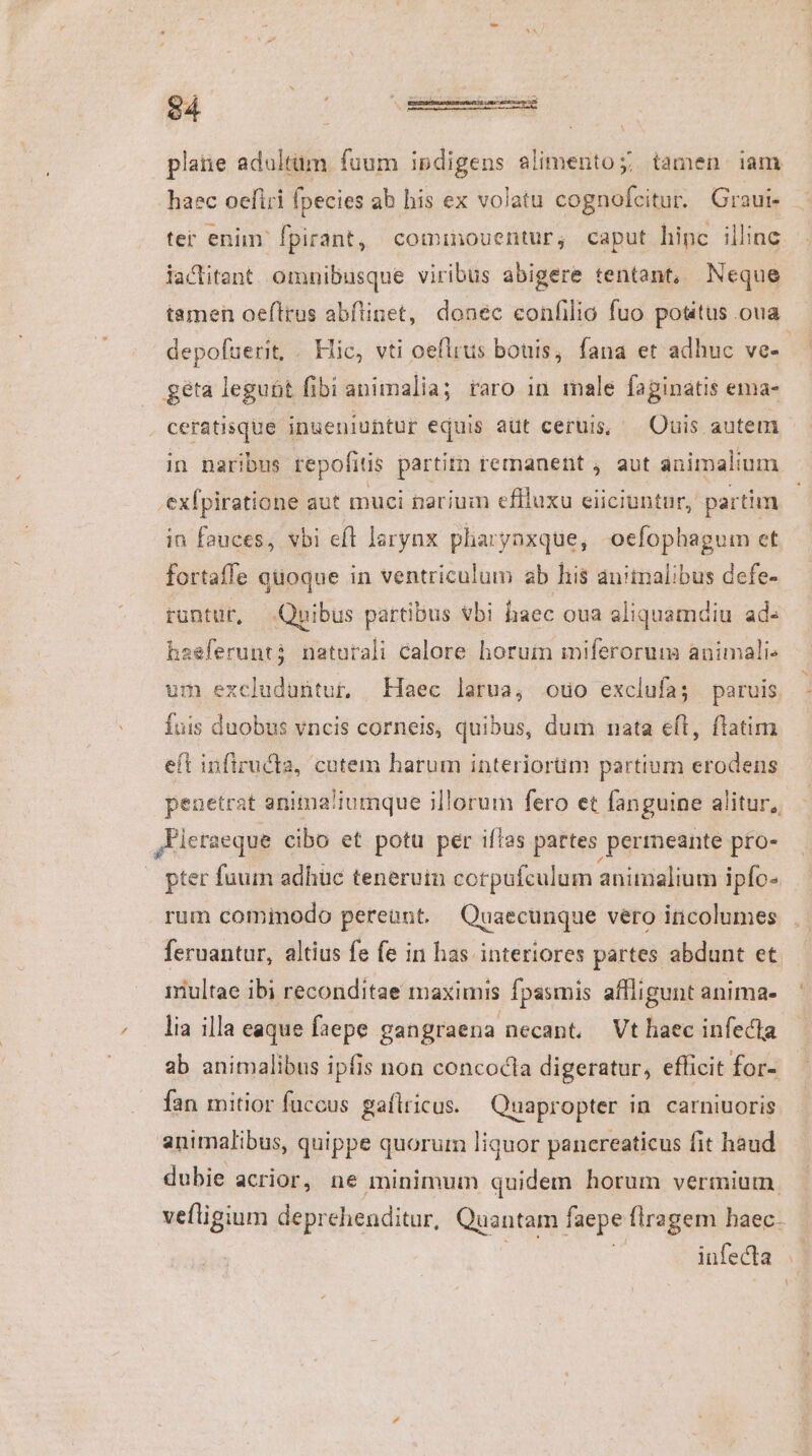 platie adultüm fuum indigens alimentos; tamen iam haec oefiri fpecies ab his ex volatu cognofcitur. Graui- lactitant omnibusque viribus abigere tentant, Neque depoftuerit, . Hic, vti oeflrus bouis, fana et adhuc ve- géta leguüt fibi animalia; raro in male faginatis ema- ceratisque inueniuntur equis aüt ceruis, ^ Ouis autem in naribus repofitis partitn remanent , aut animalium exfpiratione aut muci narium eflluxu eiiciuntur, partim in fauces; vbi eft larynx pharynxque, ocfophagum et fortaffe quoque in ventriculum ab his animalibus defe- runtur, Quibus partibus vbi haec oua aliquamdiu ad- haeferunti naturali calore horum miferorum animali: um excluduntur, Haec larua, ouo exclufa; paruis fuis duobus vncis corneis, quibus, dum nata eft, ftatim eft infiructa, cutem harum interiorum partium erodens penetrat anima'iumque illorum fero et fanguine alitur, ,Eleraeque cibo et potu per ifias partes permeante pro- pter fuum adhuc teneruin cotpufculum aninialium ipfo- rum cominodo pereant. Quaecunque vero incolumes feruantur, altius fe fe in has interiores partes abdunt et riultae ibi reconditae maximis fpasmis affiigunt anima- lia illa eaque faepe gangraena necant, Vt haec infecta ab animalibus ipfis non concocla digeratur, efficit for- fan mitior fuccus gaílricus. Quapropter in carniuoris animalibus, quippe quorum liquor panereaticus fit haud dubie acrior, ne minimum quidem horum vermium. vefligium deprehenditur, Quantam faepe flragem haec.