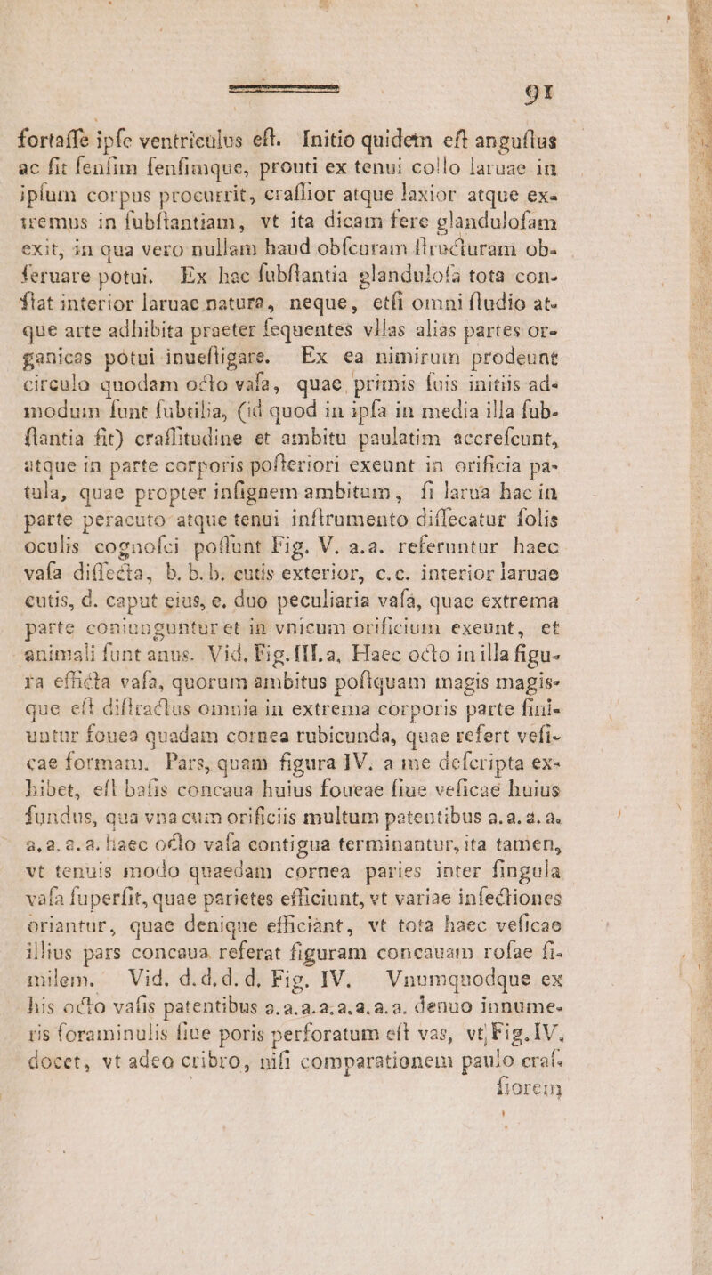 fortaífe ipfe ventriculus eft. Initio quidetn eft angulus iplum corpus procurrit, craffior atque laxior atque ex- emus in fubflantiam, vt ita dicam fere glandulofam exit, in qua vero nullam haud obfcuram firuclurüim-obs certare potui. Ex hac fubftantia glandulofa tota con. flat interior laruae natura, neque, etfi omni fludio at. que arte adhibita praeter fequentes vllas alias partes or- ganicss potui inuefligare. Ex ea nimiruin prodeunt circulo quodam octo vala, quae. primis fuis initiis ad« modum funt fubtilia, (id quod in ipfa in media illa fub- flantia fit) craffitudine et ambitu paulatim accrefcunt, atque in parte corporis pofteriori exeunt in orificia pa- tula, quae propter infignem ambitum, | fi larua hac in parte peracuto atque tenui inflrumento diílecatur folis oculis cognofci poflunt Fig. V. a.a. referuntur haec vafa diede: b. b. b. cutis exterior, c.c. interior laruae cutis, d. caput eius, e, duo peculiaria vafà, quae extrema patte coniunguntur et in vnicum orificium exeunt, et animali funt anus. Vid, Fig. [II a, Haec octo inilla figu- ra efficta vafa, quorum lin bitus pofiquam magis magise que eft difiractus omnia in extrema corporis parte fini- untur fouea quadam cornea rubicunda, quae refert vefi- cae Ond Pars, quam figura IV. a me defcripta ex« hibet, efl bafis concaua huius foueae fiue veficae huius fundus, qua vna cum orificiis multum potentibus a.2. a. a. 2,2, 8.2. liaec oclo vafa contigua terminantur, ita tamen, vt tenuis modo quaedam cornea paries inter fingula vafa fuperfit, quae parietes d vt variae infecliones oriantur, quae denique efficiant, vt tota haec veficae ilius pars concaua referat figuram concauam rofae fi. milem. Vid. d.d.d. d, Fig. IV. Vnomquodque ex his octo vafis patentibus 2.2.2.2,2.23.2.2. denuo innume- ris foraminulis fite poris perforatum eft vas, vt Fig. IV, docet, vt adeo cribro, nifi comparationem paulo craf. fiore n