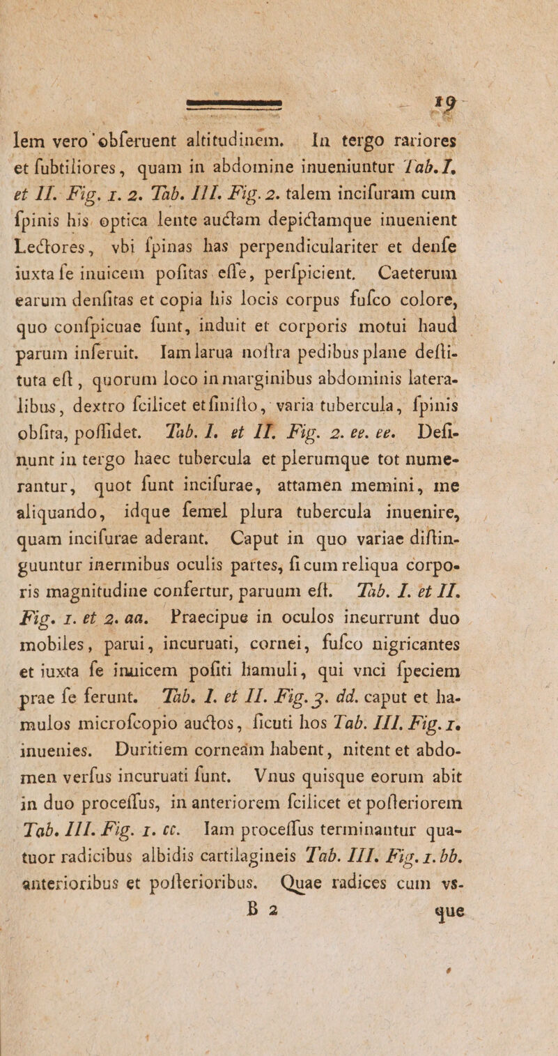 lem vero 'obferuent altitudinem. In tergo rariores et fubtiliores , quam in abdomine inueniuntur Tab. T. et 1I. Fig. 1. 2. Tàb. I1I. Fig.2. talem incifuram cum Ípinis his. optica lente auctam depictamque inuenient Lectores, vbi pinas. has perpendiculariter et denfe iuxta fe inuicem pofitas. elle, perfpicient. Caeterum earum denfitas et copia his locis corpus fufco colore, quo confpicuae funt, induit et corporis motui Eid parum inferuit. Iam larua noftra pedibus plane defti- tuta eft, quorum loco in marginibus abdominis latera- libus, doikg Ícilicet et finillo, varia tubercula, fpinis mA poflidet. — Tab. 1. et I Fip. 2. t. £&amp;. Defi- nunt in tergo haec tubercula et plerumque tot nume- rantur, quot funt incifurae, attamen memini, me aliquando, idque femel plura tubercula inuenire, quam incifurae aderant. Caput in quo variae diftin- guuntur inermibus oculis pattes, fi cum reliqua corpo- ris magnitudine confertur, paruum eft. — 74^. I. et 1I. Fig. ret 2.aa. Praecipue in oculos ineurrunt duo mobiles, parui, incuruati, cornei, fufco nigricantes et iuxta fe inuicem pofiti liamuli, qui vnci fpeciem prae fe ferunt. — Tàb. 1. et 11. Fig. 3. dd. caput et ha. mulos microfcopio auctos, ficuti hos Ta. III. Fig. r. inuenies. Duritiem cornedm habent, nitent et abdo- men verfus incuruati funt, Vnus quisque eorum abit in duo proceífus, in anteriorem fcilicet et pofleriorem Tab. 111. Fig. 1. tt. Iam proceífus terminantur qua- tuor radicibus albidis cartilagineis Tab. 711. Fir. 1. bb. anterioribus et pollerioribus. Quae radices cum vs- b 2a que