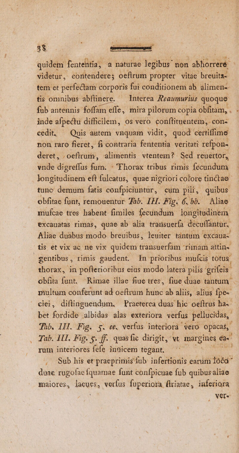 e L] ele : 5 E34 va tiia oper ia V odi 7] ALMA wq. P* ilie s BE h À 4 3 E . Lr ? : v : » Il quidem fententia, 2 naturae legibus non abhorrere videtur, contendere; oeflrum propter vitae breuitaz tem et perfectam corporis fui conditionem ab alimen-. tis omnibus abftinere. Interea Reaumurius. quoque fub antennis dfoifám effe; mira pilorum copia obfitam, ; inde afpectu difficilem, os vero conflituentem, con- cedit, — Quis autem vnquam vidit, quod certiffime non raro fieret, fi contraria fententia veritati refpon- deret , ; oeftrum, alimentis vtentem? Sed reuertor, vnde digreffus fila à - Fhorax tribus rimis fecundum. longitudinem eft fulcatus, quae nigriori colore tinctae tunc demum fatis confpiciuntur, cum pili, quibus obfitae font, remouentur 7àb. IH. Fig. 6. bb. — Aliae muícae tres habent fimiles fecundum. longitudinem excauatas rimas, quae ab alia trarisuerfa decuffantur, Aliae duabus modo breuibus, leuiter tantum 'excauaz' dis et vix ac ne vix quidem PONI 'Tünam attin- | gentibus ,- rimis gaudent. n prioribus mufcis totus. thorax, in pofterioribus eius modo latera pilis. grifeis obfita funt. Rimae illae fiue tres, fiue duae tantum multum conferunt ad osflrüm hunc ab aliis, alius Ípe- ciei, diflinguendum. — Praeterea duas hic oeftrus ha-- bet fordide albidas alas exteriora verfus pellucidas, Tüb. III. Fig. y. ee. verfus interiorá vero opacas, Tab. III. Fig. y. ff. quasfie dirigit, xt Labia da rum interiores fefe intiicem tegant. i |, Sub his et praeprimisdub. infertionis earum 106a duae rugofae fquamae funt confpicuae fub quibusaliae maiores, diis verfus fuperiora fliatae, inferiora Vere