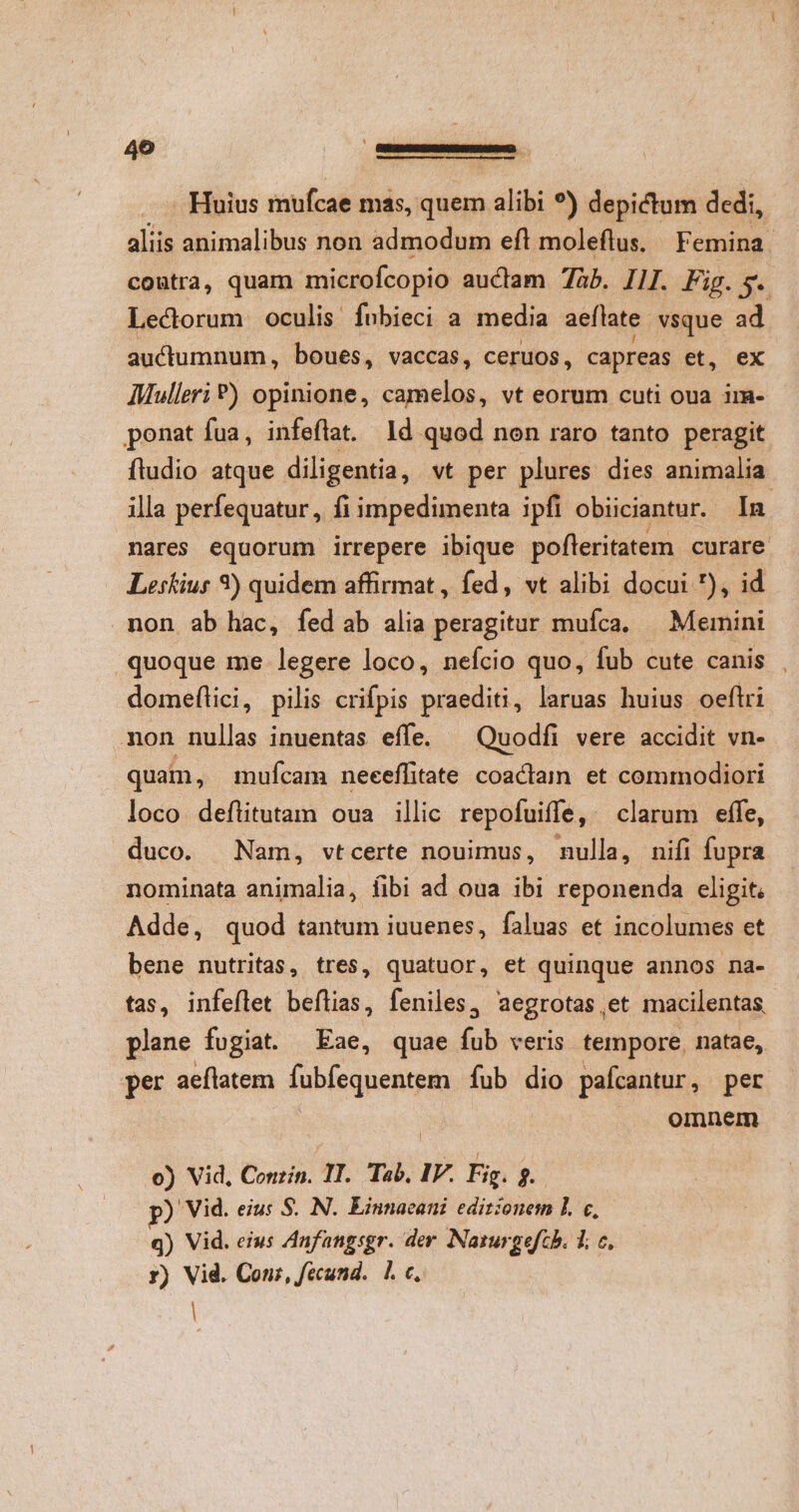490 niani. Huius mufcae mas, quem alibi *) depictum dedi, aliis animalibus non admodum eft moleflus, Femina. coutra, quam microfcopio audiam 7àb. II. Fig. g. Lectorum oculis fubieci a media aeflate vsque ad auctumnum, boues, vaccas, ceruos, capreas et, ex AMulleri ) opinione, camelos, vt eorum cuti oua im- ponat fua, infeflat. 1d quod non raro tanto peragit fludio atque diligentia , vt per plures dies animalia illa perfequatur , fi impedimenta ipfi obiiciantur.. In. nares equorum irrepere ibique pofleritatem curare Leskius 3) quidem affirmat , fed, vt alibi docui !), id non ab hac, fed ab alia peragitur mufca, — Memini quoque me legere loco, nefcio quo, fub cute canis domeflici, pilis crifpis praediti, laruas huius oeftri non nullas inuentas effe. Quodfi vere accidit vn- quam, mufcam neceffitate coactam et commodiori loco deflitutam oua illic repofuiffe, clarum effe, duco. Nam, vtcerte nouimus, nulla, nifi fupra nominata animalia, fibi ad oua ibi reponenda eligit Adde, quod tantum iuuenes, faluas et incolumes et bene nutritas, tres, quatuor, et quinque annos na- tas, infeflet beflias, feniles, aegrotas,et macilentas plane fugiat. Eae, quae fub veris tempore, natae, per aeftatem fubfequentem fub dio pafcantur, per omnem o) Vid, Conzin. IT. Tab, IV. Fig. j. p) Vid. eius S. N. Einnaeani editionem LL. c, q) Vid. eius Aunfangsgr. der. Nazurgefib. 1. c, y) Vid. Conz, fecund.. |. c, |