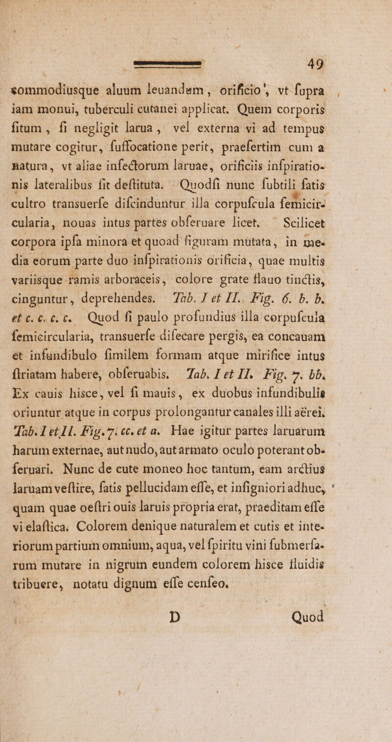 sommodiusque aluum leuand«m , orificio, vt fupra iam monui, tuberculi cutanei applicat. Quem corporis fitum , fi negligit larua ,' vel externa vi ad tempus mutare cogitur, fuffocatione perit, praefertim cum a Batura, vt aliae infectorum laruae, orificiis infpiratio- nis lateralibus fit deftituta. « Quodfi nunc fubtili fatis cultro transuerfe difcinduntur illa corpufcula femicir- cularia, nouas intus partes obferuare licet. ^ Scilicet corpora ipfa minora et quoad figuram mutata, in me- dia eorum parte duo infpirationis orificia, quae multis variisque ramis arboraceis, colore grate flauo tinctis, cinguntur, deprehendes. 7àb. J et IT. Fig. 6. b. b. ef C. 6. 0. t... Quod fi paulo profundius illa corpufeuia femicircularia, transuerfe difecare pergis, ea concauam et infundibulo fimilem formam atque mirifice intus flriatam habere, obferuabis. Tab. I et I1. Fig. 7. bb. Ex cauis hisce, vel fi mauis, ex duobus infundibulie oriuntur atque in corpus prolongantur canales illi aerei, Tab. 1 et 11. Fig. 7: cc. et a. Hae igitur partes laruarum harum externae, aut nudo, aut armato oculo poterant ob. feruari. Nunc de cute moneo hoc tantum, eam arctius laruam vellire, fatis pellucidam effe, et infigniori adhuc, quam quae oeftri ouis laruis propria erat, praeditam effe vielaflica. Colorem denique naturalem et cutis et inte- riorum partium omnium, aqua, vel fpiritu vini fubmerfa. rum mutare in nigrum eundem colorem hisce Iluidis tribuere, notatu dignum effe cenfeo. D Quod