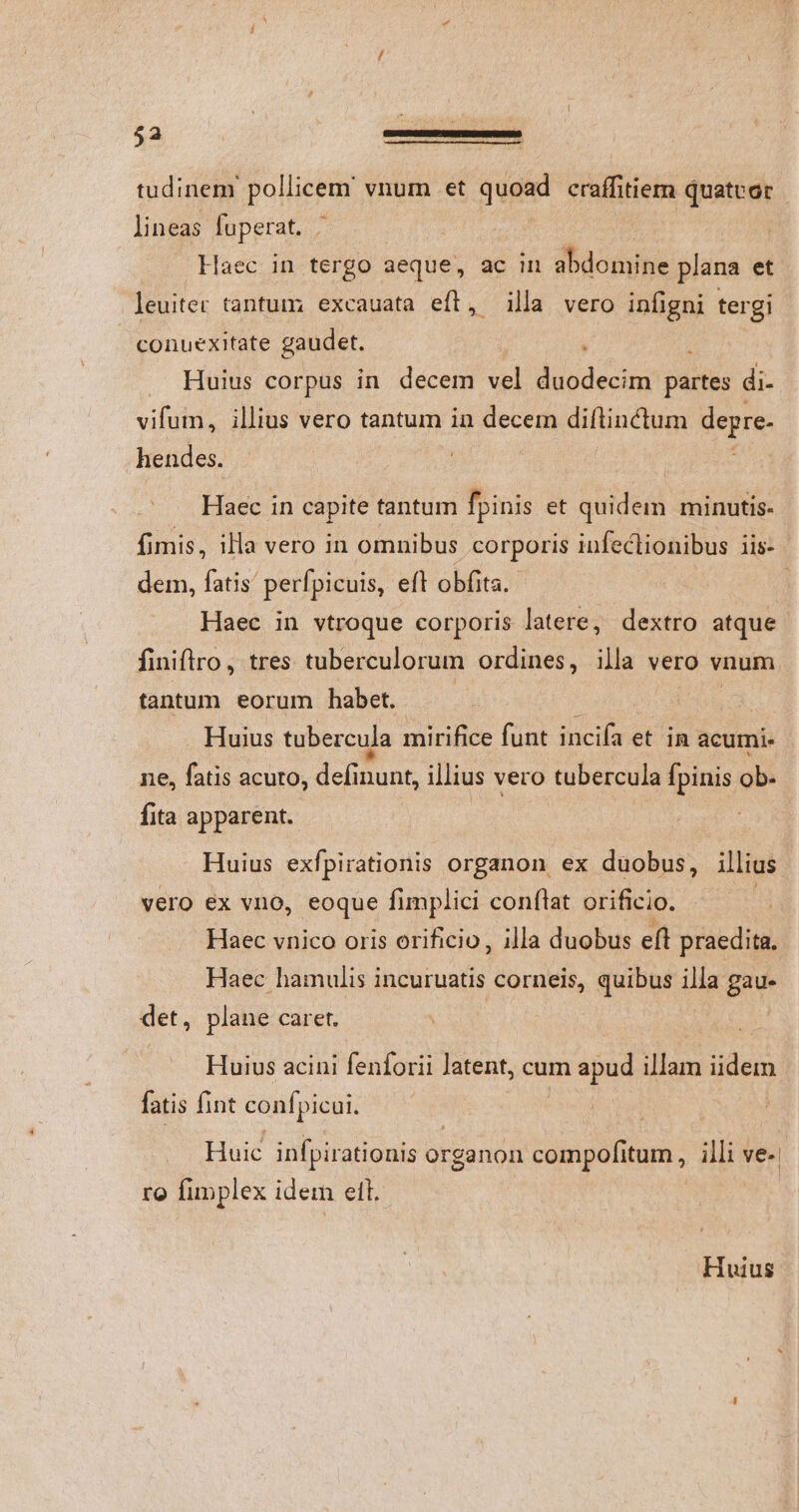 tudinem pollicem vnum et quoad craffitiem quateor | lineas fuperat. | Haec in tergo aeque, ac in abdomine plana et leuiter tantum excauata eft, illa vero infigni tergi conuexitate gaudet. à Huius corpus in. decem vel duodecim partes di- vifum, illius vero tantum in decem diflinctum degre. hendes. Haec in capite tantum fpinis et quidem minutis- fimis, illa vero in omnibus corporis infeclionibus iis- dem, fatis' perfpicuis, efl obfita. | Haec in vtroque corporis latere, dextro atque finiftro , tres tuberculorum ordines, illa vero vnum tantum eorum habet. : Huius tubercula mirifice funt inciía et in acumi. ne, fatis acuro, definunt, illius vero tubercula Ípinis ob. fita apparent. Huius exfpirationis organon ex duobus, illius vero ex vno, eoque fimplici conflat orificio. : Haec vnico oris orificio, illa duobus eft praedita. Haec hamulis incuruatis corneis, quibus illa gau- det, plane caret. Huius acini fenforii latent, cum Viren illam iidem fatis fint confpicui, Huic infpirationis o; organon compofitum , illi ve-. ro funplex idem ell. Huius