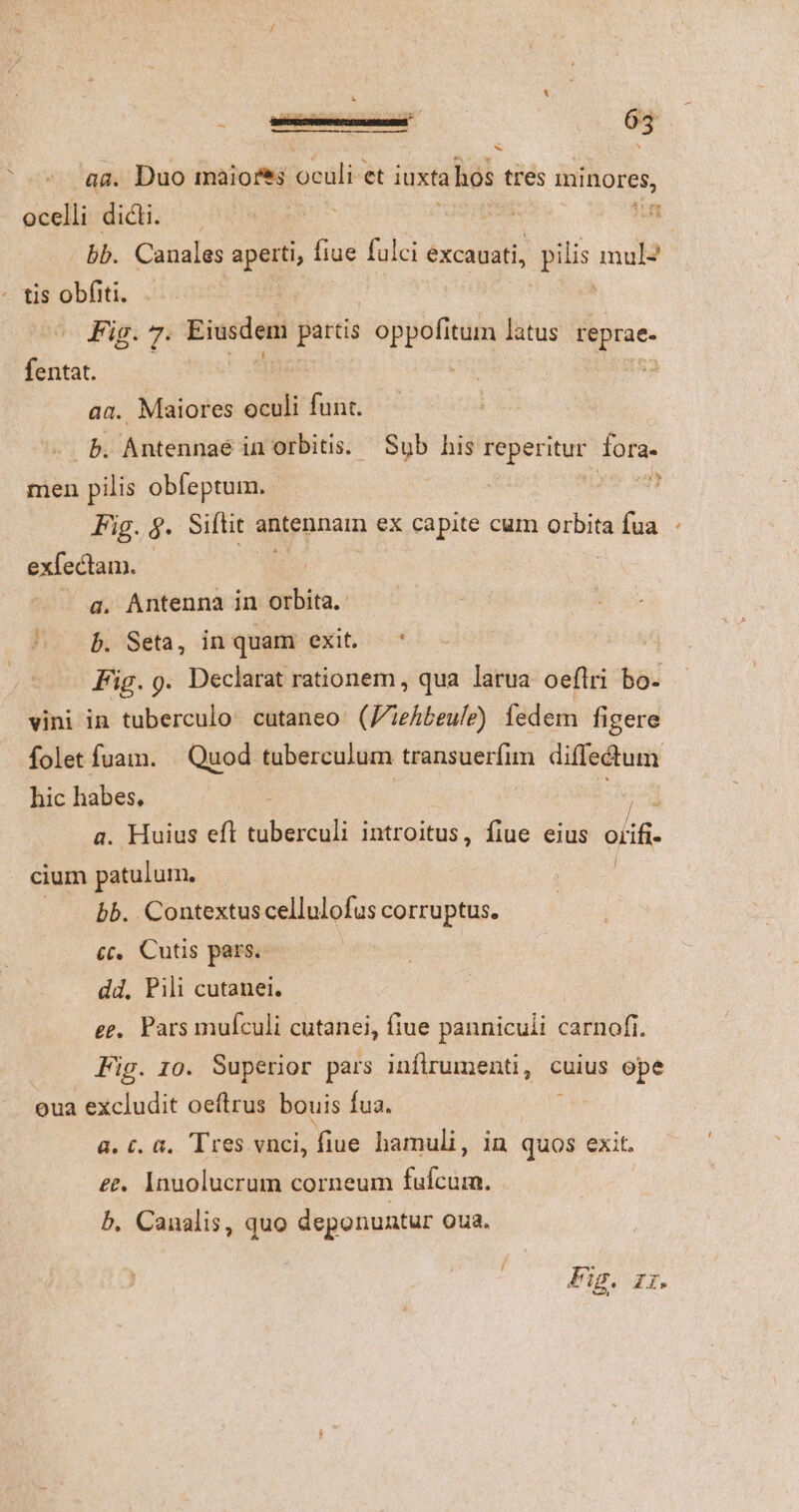 E ag. Duo maiores bui! et juxta hos tres minores, ocelli dicti. Yr M do peu ms bb. Canales apertis fiue fulci excauati, pilis mul2 Fig. 7. Eiusdem partis oppofitum latus pnae- fentat. ! | aa. Maiores oculi funt. b. Antennaé in orbitis. — Sub his reperitur fora- men pilis obfeptum. | Disc Fig. 9g. Siftit antennamn ex capite cum ürbità aun exfectam. a. Antenna in orbita. b. Seta, in quam exit. — ' Fig. 9. Declarat rationem, qua larua oeftri bo- vini in tuberculo: cutaneo. (Jiehbeule) fedem figere folet fuam. | Quod tuberculum transuerfim diffectum hic habes, | D^ a. Huius eft tuberculi introitus, fiue eius oif cium patulum. bb. Contextus cellulofus corruptus. c. Cutis pars. dd, Pili cutanei. ge... Pars mufculi cutanei, fiue panniculi carnofi. Fig. 10. Superior pars infirumenti ,' € cuius ope oua excludit oeftrus bouis fua. a. c. &amp;, Tres vnci, fiue hamuli, in quos exit. £&amp;.. Inuolucrum corneum fufcum. b. Canalis, quo deponuntur Quá, Fig. zi,