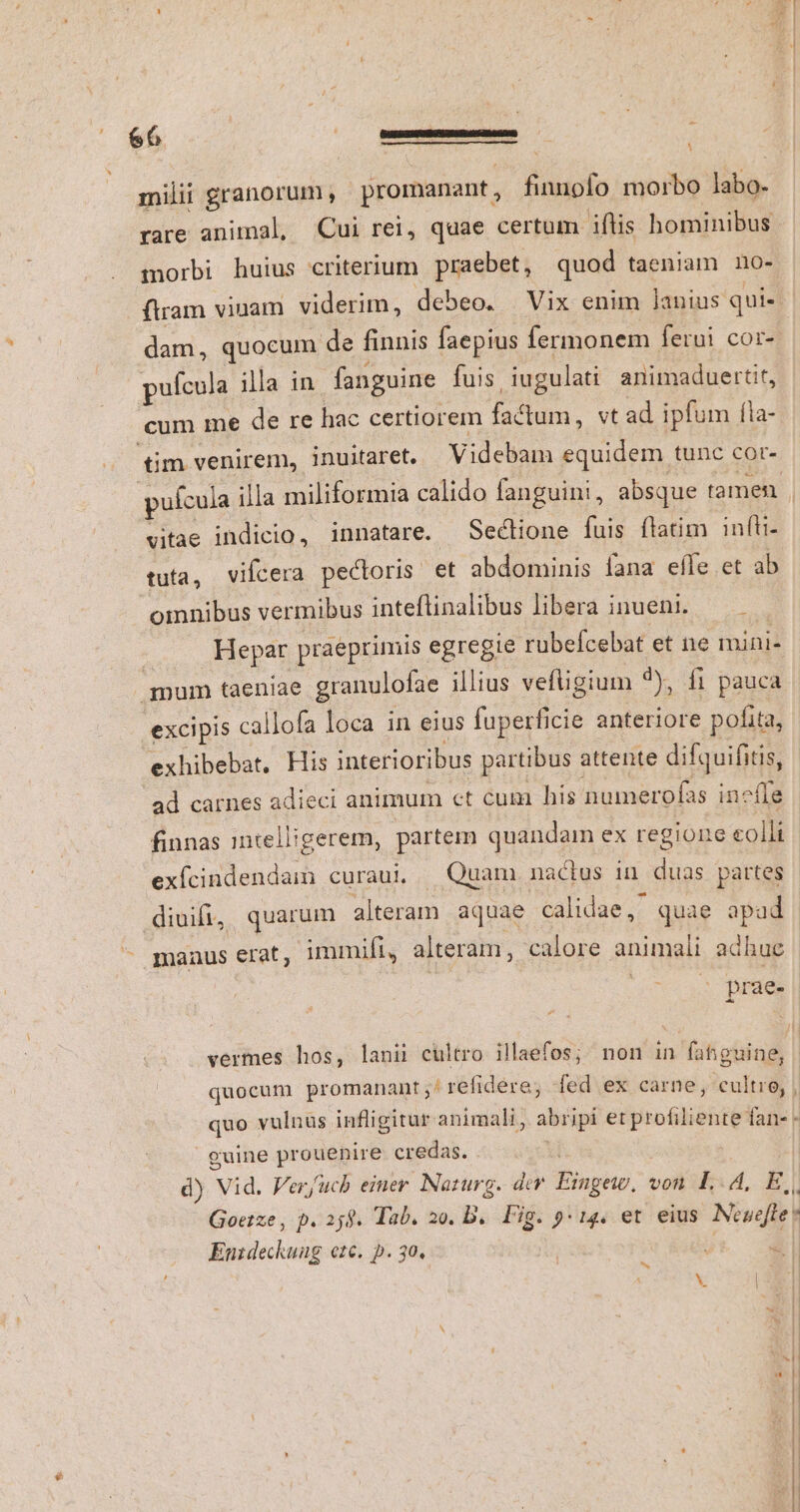 milii granorum , promanant , fianofo morbo labo- rare animal, Cui rei, quae certum iflis hominibus morbi huius criterium praebet, quod taeniam no- firam viuam viderim, debeo. Vix enim Janius qui dam, quocum de finnis faepius fermonem ferui cor-- pufcula illa in. fanguine fuis iugulati animaduertit, cum me de re hac certiorem factum, vt ad ipfum fla- tim venirem, inuitaret. Videbam equidem tunc cor- vitae indicio, innatare. Seclione fuis flatim infti- tuta, vifcera pecloris et abdominis fana efle et ab Hepar praeprimis egregie rubefcebat et ne mini- mum taeniae granulofae illius vefligium 9), fi pauca omnibus vermibus inteflinalibus libera inueni. excipis callofa loca in eius fuperficie anteriore pofita, exhibebat, His interioribus partibus attente difquifitis, ad carnes adieci animum ct cum his numerofas incfle finnas intell:gerem, partem quandam ex regione colli exícindendam curaui; Quam mnaclus in duas partes diuifi, quarum alteram aquae calidae, quae apad manus erat, immifi, alteram, calore animali adhuc s prae- vermes hos, lanii cultro illaefos; non in fahguine, quocum promanant;' refidere; fed ex carne, cultro, | euine prouenire credas. d) Vid. Ver/ucb einer. Naturg. dcr. Erngew, von IA, E Goetze, p. 259. Tab. 20. D. Fig. 9: 14. et eius. Nesefte? Enideckung etc. p. 30. | 7 PI b Y T