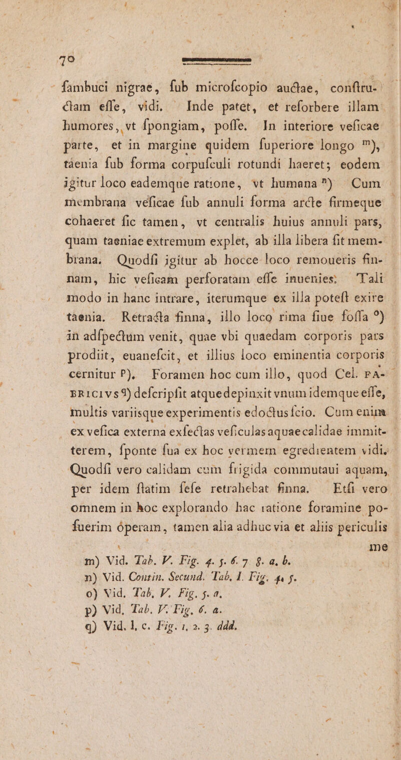 0 humores , vt fpongiam, poffe. In interiore veficae parte, et in margine quidem fuperiore longo ?), tàenia fub forma corpufculi rotundi haeret; eodem igitur loco eademque ratione, vt humana?) Cum membrana veficae fub annuli forma arcte firmeque cohaeret fic tamen, vt centralis huius annuli pars, quam taeniae extremum explet, ab illa libera fit mem- brana, Quodíi igitur ab hocce. loco remoueris fin- nam, hic vefieam perforatam effe inuenies: — Tali modo in hanc intrare, iterumque ex illa poteft exire taenia. Rétracta finna, illo loco rima fiue foífa ?) in adfpectum venit, quae vbi quaedam corporis pars prodit, euanefcit, et illius loco eminentia corporis multis variisque experimentis edoctusício. Cum enim * LI ! Quodfi vero calidam cum frigida commutaui aquam, omnem in hoc explorando. hac ratione foramine po- s | me m) Vid. Jab. V. Fig. 4. 5. 6. 7. 9. a, b. n) Vid. Coutin. Secund. Tab, IF. Fig. 4 . o) Vid. Tab, V. Fig. j. a. | p) Vid, Ta. V. Fig, 6. a.