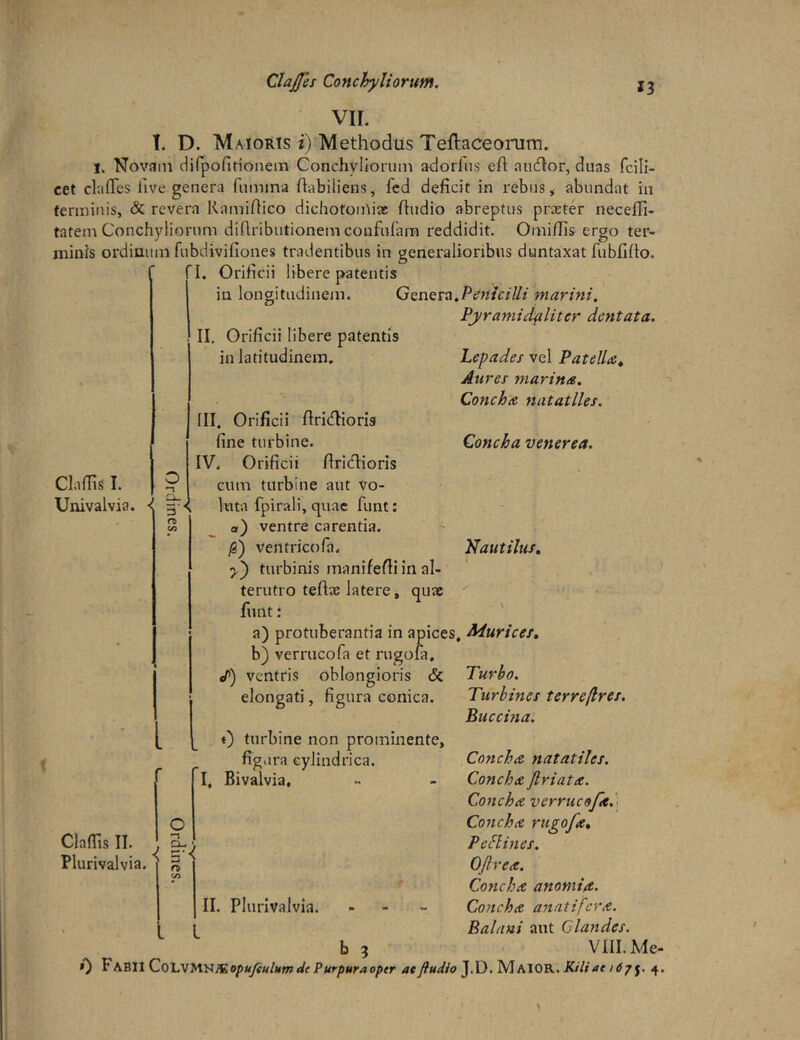 VII. 13 T. D. Maioris i) Methodus Teftaceorum. 1. Novam difpofitionem Conchyliorum adorfus eft aueftor, duas fcilU cet clafiTes five genera fumina ftabiliens, fed deficit in rebus, abundat in fermiuis, & revera Ramidico dichotoiilias dudio abreptus pn-eter necefli- tatem Conchyliorum diftributionem coiifufara reddidit. Omi/Iis ergo ter- minis ordinum fubdivifiones tradentibus in generalioribus duntaxat fubfldo. C n. Orificii libere patentis in longitudinem. GQXxeta.PdniciUi marini, Pyrami civiliter dentata. ClafTis I. Univalvia. O •n fD Vi II. Orificii libere patentis in latitudinem. Lepades vel Patella^ Aures marina. Concha natatiles. Concha venerea. Plautilus, III. Orificii flritdioris fine turbine. IV. Orificii driclioris cum turbine aut vo- luta fpirali, quae funt: a) ventre carentia. jS) ventricofa. turbinis manifedi in al- terutro teflae latere, quae  funt: ' a) protuberantia in apices. Murices, b) verrucofa et rugofa. /) ventris oblongioris & elongati, figura conica. Turbo. Turbines terreflres. Buccina. Cladis II. Plurivalvia. CU 3 O I. f) turbine non prominente, figura cylindrica. Bivalvia, II. Plurivalvia. l Concha natatiles. Concha Jlriata. Concha verrucofa.'- Concha rugofa, PeElines. OJlrea. Concha anomia. Concha anatifera. Balani aut Glandes. VIII. Me-