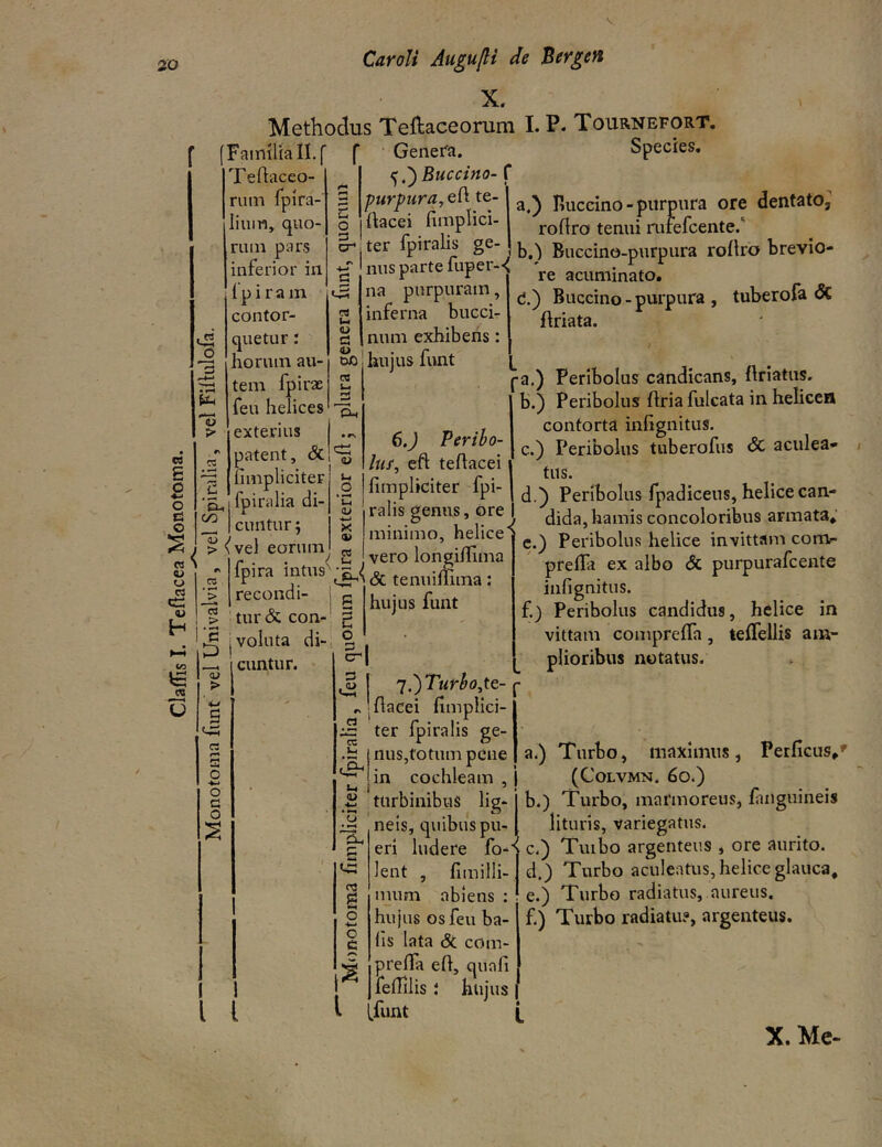 X. Methodus Teftaceorum I. P. Tournefort, [Fainmall.f f Geiiefa. Species. Buccino-( purpura, e{\ te- a,) Fuccino-purpura ore dentato; hacei nmplici- roftro tenui nirefcente/ ter fpiralis ge- Buccino-purpura roflro brevio- nus parte fuper-< acuminato. {in > 03 P B o Ei O •>eH « ^ O O P3 C H e u Tehacco- rum fpira- liuiu, quo- rum pars inferior in 1 p i r a m contor- quetur : horum au- tem fpirae feu helices exterius patent, & fimpliciter fpiralia di- icuntur; > ^vel eorum fpira intus recondi- turi con- j voluta di- cuntur. c o 3 C3^ C 'Bh OO Ut ci o oc 08 Ut • rs c; u o <u -t-i X (U y C8 .<.h p-t' na purpuram inferna bucci- num exhibens: hujus funt (5.) Buccino-purpura, tuberofa <5c ftriata. L <3J > S «-a C3 O e o d o ^ I 3 . w 6.J Periho- lui, eft teftacei fimpliciter fpi- ralis genus, ore minimo, helice' . vero longifiima '' & tenuiliima: hujus funt 'j.')Turbo,te- ..Ifiacei fimplici- ter fpiralis ge- nus,totum pene in cochleam ■a.) Peribolus candicans, ftriatns. b. ) Peribolus firia fulcata in helicen contorta infignitus. c. ) Peribolus tuberofus <5c aculea» tus. d. ) Peribolus fpadicens, helice can- dida, hamis concoloribus armata* e. ) Peribolus helice invittam conv- prefia ex albo & purpurafcente iufignitus. f. ) Peribolus candidus, helice in vittam comprelTa, teflellis am- plioribus notatus. C3 .O. Ut <u • ^ o CC s o o e a.) Turbo, maximus, Perficus*' ___ ,, (CoLVMN. 6o.) turbinibus lig- j b.) Turbo, marmoreus, fiuiguineis neis, quibus pu- [ lituris, variegatus. eri ludere fo-S c.) Tuibo argenteus * ore aurito. d. ) Turbo aculeatus, helice glauca* e. ) Turbo radiatus, aureus. ' f.) Turbo radiatu?, argenteus. lent , fimilli- mum abiens : hujus os feu ba- fis lata & com- prefia efi, quafi fefiilis : hujus .funt