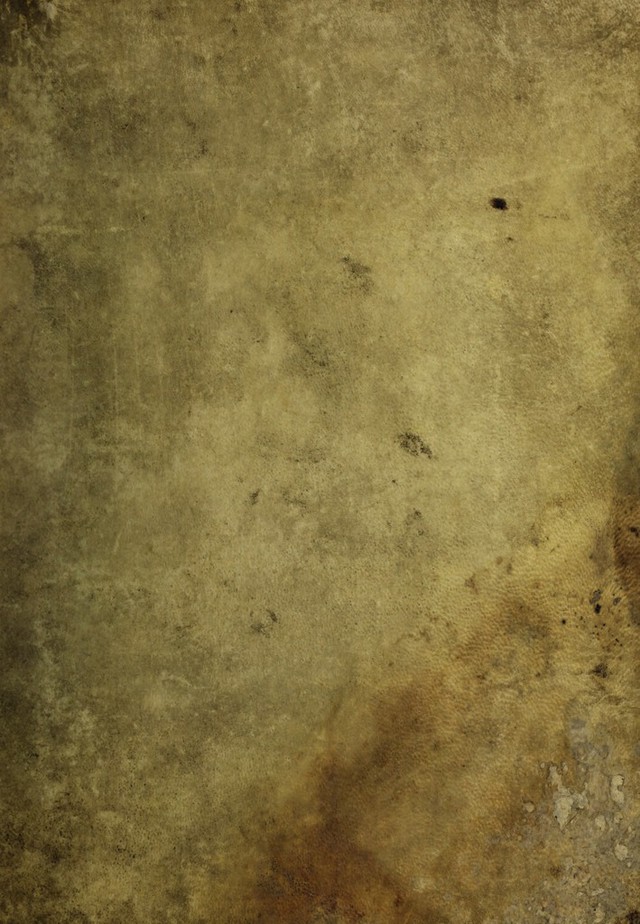 No text description is available for this image