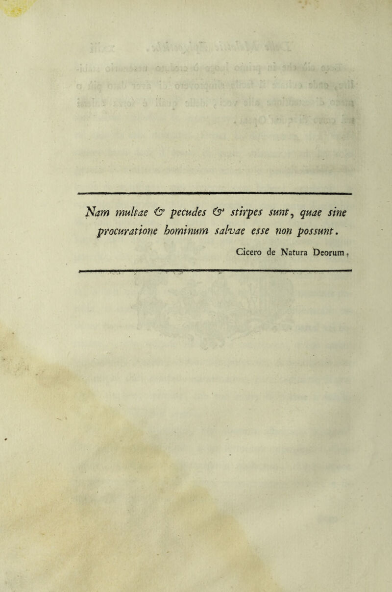 Nam multile & pecudes 6° stirpes sunt, quae sine procuratione borninum sahae esse non possunt. Cicero de Natura Deorum.