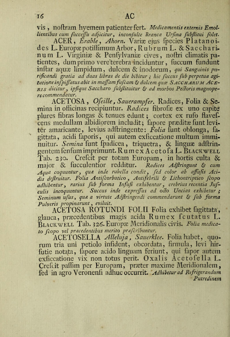 vis , noftram hyemem patienter fert. Medicamentis externis Emol- lientibus cum fuccejfu adjicitur, inconfulte Branca Urjina fubfiitui folet. ACER, Erable, Ahorn. Varix ejus fpecies Platanoi- des L.EuropaepotillimumArbor, Rubrum L. &Sacchari- num L. Virginiae & Penfylvaniae cives, nollri climatis pa- tientes, dum primo vere'terebra inciduntur, fuccum fundunt inftar aquae limpidum, dulcem & inodorum, qui Sanguinis pu- rificandi gratia ad duas libras de die bibitur ; hic fiuccus fiub perpetua agi- tatione infpijfiatus abit in majfiam fufcam dulcem quce SACCharum Ace- ris dicitur, ipfique Saccharo fubfiituitur & ad morbos Pectoris magnope- re commendatur. ACETOSA , Ofeille, Sauerampfer. Radices, Folia & Se- mina in officinas recipiuntur. Radices fibrofie ex uno capite plures fibras longas & tenues edunt; cortex ex rufo flavef- cens medullam albidiorem includit; fapore praeditae funt levi- ter amaricante, levius adftringente: Folia lunt oblonga, fa- gittata, acidi faporis, qui autem exficcatione multum immi- nuitur. Semina funt fpadicea, triquetra, & linguae adftrin- gentem fenfum imprimunt. R u m e x A c e t o fa L. Blackwell Tab. 230. Crefcit per totam Europam, in hortis culta & major & bucculentior redditur. Radices Adftringunt <& cum Aqua coquuntur, quo inde rubella condit , fed color ab afifufis Aci- dis defiruitur. Folia Antifcorbutico , Antifebrili & Lithontriptico ficopo adhibentur, rarius fiub forma Infufi exhibentur, crebrius recentia Juf- culis incoquuntur. Succus inde exprejfus ad octo Uncias exhibetur ; Seminum ufus, quo a virtute Adfiringendi commendarunt & fiub forma Pulveris propinarunt, eviluit. ACETOSA ROTUNDI FOLII Folia exhibet fagittata, glauca, praecedentibus magis acida Rumex fcutatus L. Blackavell Tab. 326. Europae Meridionalis civis. Folia medica- to fcopo vel procedentibus merito profer ibunt ur. ACETOSELLA Alleluja, Sauerklee. Folia habet, quo- rum tria uni petiolo infident, obeordata, firmula, levi hir- futie notata, fapore acido linguam feriunt, qui lapor autem exficcatione vix non totus perit. Oxalis Acetofella L. Crefcit paffim per Europam, praeter maxime Meridionalem, fed in agro Veronenfi adhuc occurrit. Adhibetur ad Refrigerandum Putredinem