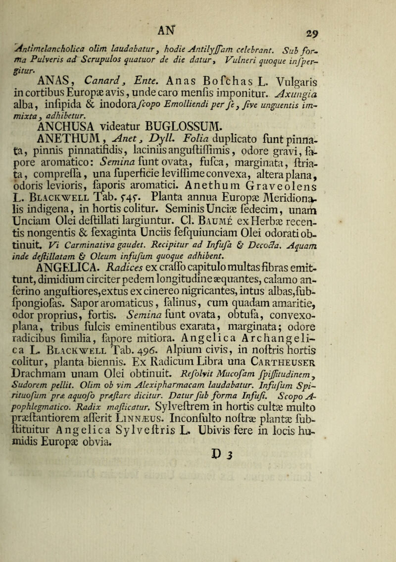 Antlmclancholica olim laudabatur, hodie Antilyjfarn celebrant. Sub for- ma Pulveris ad Scrupulos quatuor de die datur, Vulneri quoque injper- gitur- ANAS, Canard, Ente. Anas Bofchas L. Vulgaris in cortibus Europae avis, unde caro menfis imponitur. Axungia alba, infipida & inodora fcopo Emolliendi per fe, Jive unguentis im- mixta, adhibetur. ANCHUSA videatur BUGLOSSUM. ANETHUM, Anet3 Dyll. Folia duplicato funtpinna- ta, pinnis pinnatifidis, laciniis anguftiflimis, odore gravi, fa- pore aromatico: Semina funt ovata, fufca, marginata, ftria- ta, comprefla, una fuperficie levifiime convexa, altera plana, odoris levioris, faporis aromatici. Anethum Graveolens L. Blackwell Tab. f4f. Planta annua Europae Meridiona- lis indigena, in hortis colitur. Seminis Unciae fedecim, unarii Unciam Olei deftillati largiuntur. Cl. Baume ex Herbae recen- tis nongentis & fexaginta Unciis fefquiunciam Olei odorati ob- tinuit. Vi Carminativa gaudet. Recipitur ad Infufa & Decocta. Aquam inde dejlillatam & Oleum infufum quoque adhibent. ANGELICA. Radices ex cralfo capitulo multas fibras emit- tunt, dimidium circiter pedem longitudine aequantes, calamo an- ferino anguftiores,extus ex cinereo nigricantes, intus albas,fub- fpongiofas. Sapor aromaticus, falinus, cum quadam amaritie, odor proprius, fortis. Semina funt ovata, obtufa, convexo- plana, tribus fulcis eminentibus exarata, marginata; odore radicibus fimilia, fapore mitiora. Angelica Archangeli- ca L. Blackwell Tab. 496. Alpium civis, in noffcris hortis colitur, planta biennis. Ex Radicum Libra una Cartheuser Drachmam unam Olei obtinuit. Refolvit Mucofam fpifftudinem, Sudorem pellit. Olim ob vim Alexipharmacam laudabatur. Infufum Spi- rituofum pra aquofo prajlare dicitur. Datur fub forma Infuji. Scopo A- pophlegmatico. Radix maflicatur. Sylveftrem in hortis CultcC multO prsftantiorem afierit Linnteus. Inconfulto noftrae plantae fub- ftituitur Angelica Sylvefiris L. Ubivis fere in locis hu- midis Europae obvia.