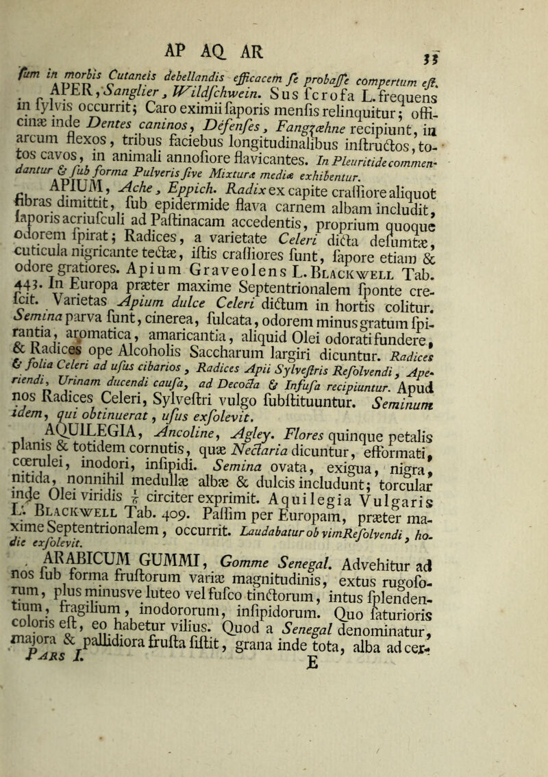 AP AQ AR fUm W,pWpf Cutaneis debellandis efficacem fe probaffie compertum effi . r APER, Sanglier 3 IVildfchwein. SusfcrofaL. frequens m iylvis occurrit 5 Caro eximii faporis menfis relinquitur; offi- cinae inde Dentes caninos, Defenfes, Fang^zhne recipiunt, in arcum flexos, tribus faciebus longitudinalibus inftruftos,to- tos cavos, in animali annofiore flavicantes. In Pleuritidecommen- dantur ^fub forma Pulveris five Mixtur* media exhibentur. £, i- -3.’ 3 Eppich' Radix ex capite crafliore aliquot hbras dimittit, fub epidermide flava carnem albam includit, laponsacriufculi ad Pafhnacam accedentis, proprium quoque odorem lpirat; Radices, a varietate Celeri ditia defumtae, cuticula nigricante tedlae, illis crafliores funt, fapore etiam & odore gratiores. Apium Graveolens L.Blackwell Tab. 443- In Europa praeter maxime Septentrionalem fponte cre- lat. \ arietas Apium dulce Celeri di&um in hortis colitur. parva lunt, cinerea, fulcata, odorem minus gratum fpi- rantm, aromatica, amaricantia, aliquid Olei odorati fundere, & Radices ope Alcoholis Saccharum largiri dicuntur. Radices & folia Celeri ad ufus cibarios , Radices Apii Sylvefiris Refolvendi, Ape- nendi Urinam ducendi caufa, ad Decocla & Infufa recipiuntur. Apud nos Radices Celeri, Sylveftri vulgo fubllituuntur. Seminum idem, qui obtinuerat, ujhs exjolevit, i AQIJILEGIA, Ancoline, Agley. Flores quinque petalis planis & totidem cornutis, quas Neclaria dicuntur, efformati, coerulei, modori, infipidi. Semina ovata, exigua, nigra, nitida, nonmhil medullae albae & dulcis includunt: torcular inde Olei viridis ^ circiter exprimit. Aquilegia Vulgaris .* Black-well Tab. 409. Paflim per Europam, pneter ma- XuneSeptentrionalem , occurrit. Laudabatur ob vimRefolvendi y ho. r.no GUMM». Gomme Senegal. Advehitur ad nos iub lorma frultorum variae magnitudinis, extus rugofo- rum, plus minusve luteo vel fufcotinftorum, intus fplenden- T: Ragihum, inodororum, infipidorum. Quo faturioris ™inr. ei?VA^h rTahrt Q-uod a Senegal denominatur, Pars jPa^,^10ra lillit, grana inde tota, alba adcejc*