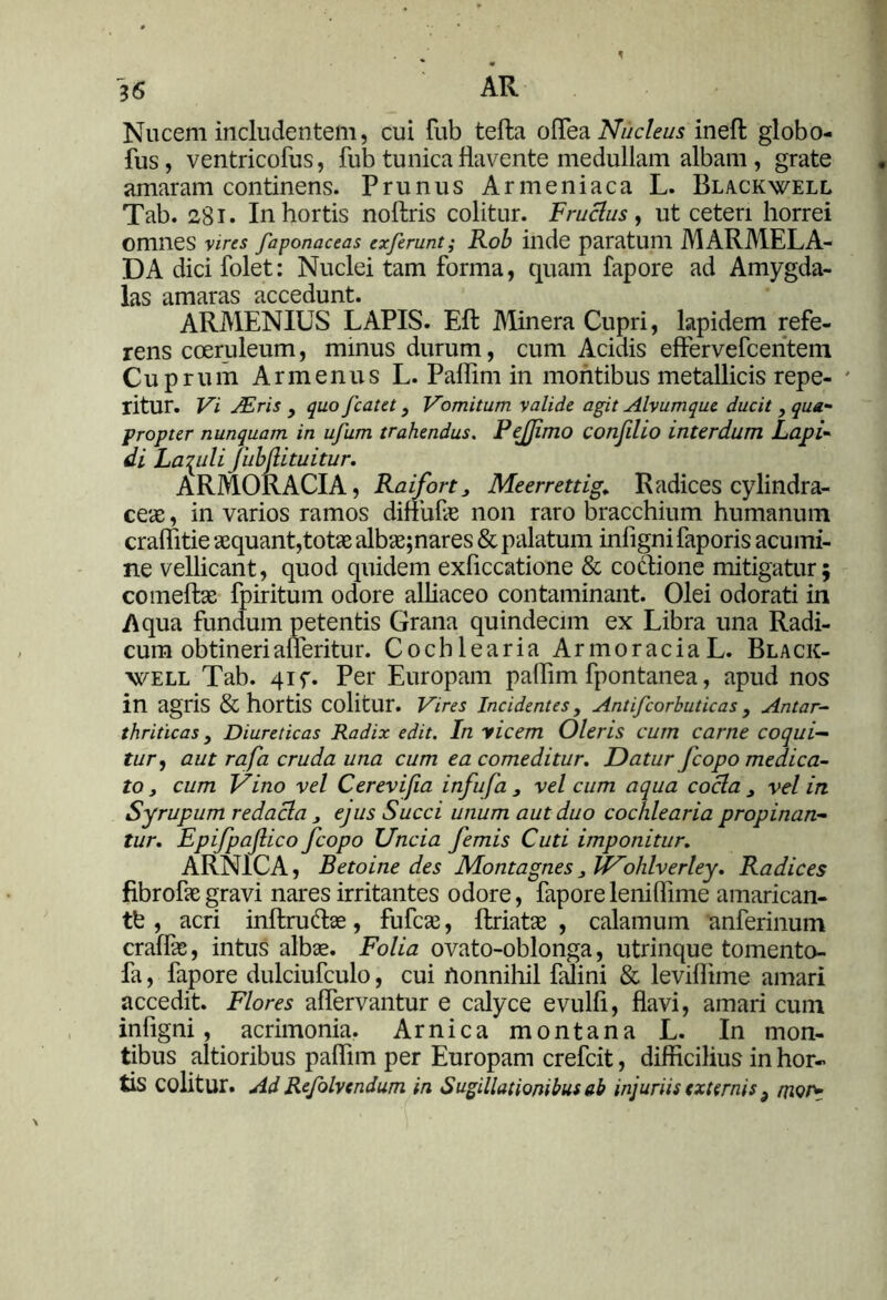 Nucem includentem, cui fub tefta oflfea Nucleus ineft globo- fus, ventricofus, fub tunica flavente medullam albam, grate amaram continens. Prunus Armeniaca L. Blackwell Tab. 281. In hortis noftris colitur. Fruclus , ut ceteri horrei omnes vires faponaceas exferunt; Rob inde paratum MARMELA- DA dici folet: Nuclei tam forma, quam fapore ad Amygda- las amaras accedunt. ARMENIUS LAPIS. Efl: Minera Cupri, lapidem refe- rens coeruleum, minus durum, cum Acidis effervefcentem Cuprum Armenus L. Pafiim in montibus metallicis repe- * ritur. Vi JEris y quo fcatety Vomitum valide agit Alvumque ducit , qua- propter nunquam in ufum trahendus. PeJJimo confdio interdum Lapi- di Lapili Jiibjlituitur. ARMORACIA, Raifort, Meerrettig. Radices cylindra- ceae, in varios ramos diffufe non raro bracchium humanum craflitie aequant,totas albae;nares & palatum infignifaporis acumi- ne vellicant, quod quidem exficcatione & coclione mitigatur; comeftas fpiritum odore alliaceo contaminant. Olei odorati in Aqua fundum petentis Grana quindecim ex Libra una Radi- cum obtineri afleritur. C 0 c h 1 e a r i a A r m 0 r a c i a L. Black- well Tab. 41 f. Per Europam paflim fpontanea, apud nos in agris & hortis colitur. Vires Incidentes y Antifcorbuticas y Antar- thriticas y Diureticas Radix edit. In yicem Oleris cum carne coqui- tur, aut rafa cruda una cum ea comeditur. Datur fcopo medica- to, cum Vino vel Cerevifia infufa , vel cum aqua cocla , vel in. Syrupum redacla 3 ejus Succi unum aut duo cochlearia propinan- tur. Epifpajlico fcopo Uncia femis Cuti imponitur. ARNICA, Betoine des Montagnes, IVohlverley. Radices fibrofaegravi nares irritantes odore, faporeleniflime amarican- tfe , acri inftru&ae, fufcas, fhriatae , calamum anferinum craflae, intus albae. Folia ovato-oblonga, utrinque tomento- fa, fapore dulciufculo, cui nonnihil falini & levifiime amari accedit. Flores aflervantur e calyce evulfi, flavi, amari cum infigni , acrimonia. Arnica montana L. In mon- tibus altioribus paflim per Europam crefcit, difficilius in hor- tis colitur. Ad Refolvcndum in Sugillationibus ab injurus externis 3 niorr