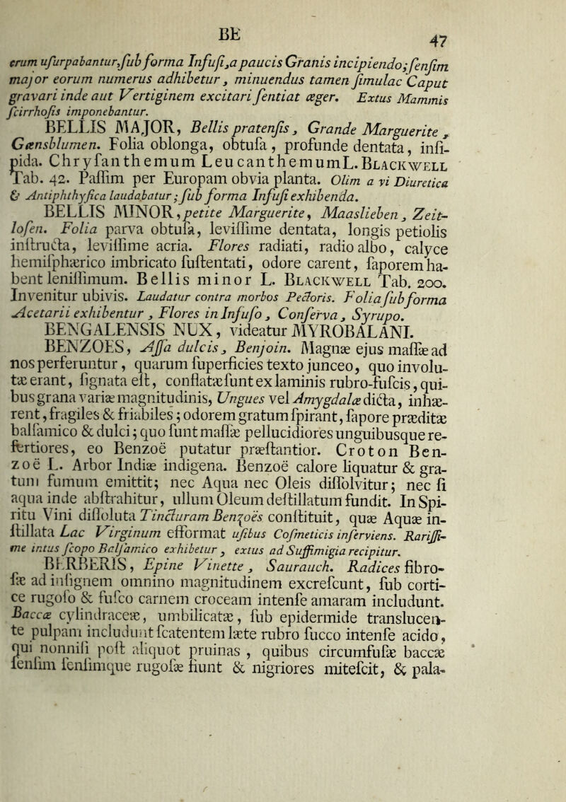 BE 47 erum ufurpabanturfub forma Jnfufi3apaucis Granis incipiendo; fenfim major eorum numerus adhibetur 3 minuendus tamen fimulac Caput gravari inde aut Vertiginem excitari fentiat ceger. Extus Mammis fcirrhojis imponebantur. BELLIS MAJOR, Bellis pratenfis 3 Grande Margu er ite , Gansblumen. Folia oblonga, obtufa, profunde dentata, infi- pida. Chryfanthemum Leu canthemumL.BLACKWELL Tab. 42. Paflim per Europam obvia planta. Olim a vi Diuretica & Antiphthyfica laudabatur ;fub forma Infujiexhibenda. BELLIS MINOR,petite Marguerite, Maaslieben3 Zeit- lofen. Folia parva obtufa, leviffime dentata, longis petiolis inllrufta, levillime acria. Flores radiati, radio albo, calyce hemifphaerico imbricato fuftentati, odore carent, faporem ha- bent lenilfimum. Bellis minor L. Black well Tab. 200. Invenitur ubivis. Laudatur contra morbos Pecloris. Folia fubforma Acetarii exhibentur 3 Flores inlnjufo 3 Conferva 3 Syrupo. BENGALENSIS NUX, videatur MYROBALANI. BENZOES, AJJa dulcis 3 Benjoin. Magnae ejus maffie ad nos perferuntur, quarum fuperficies texto junceo, quo involu- tas erant, fignata elt, con flatae lunt ex laminis rubro-fufeis, qui- bus grana variae magnitudinis, Ungues vel Amygdalae di&a, inhae- rent , fragiles & friabiles; odorem gratum fpirant, fapore praedita; bal(amico & dulci ; quo funt maflae pellucidiores unguibusque re- fertiores, eo Benzoe putatur praeftantior. Croton Ben- zoe L. Arbor Indiae indigena. Benzoe calore liquatur & gra- tum fumum emittit; nec Aqua nec Oleis diffolvitur; nec fi aqua inde abftrahitur, ullum Oleum dehillatum fundit. In Spi- ritu Vini difloluta Tincturam Benpoes conilituit, quae Aquae in- ihllata Lac Virginum efformat ufibus Cofmeticis inferyiens. Rarijfi- me intus fcopo Baljamico exhibetur , extus ad Suffimigia recipitur. Bf TIBERIS , Epine Vinette 3 Saurauch. Radices jflbro- fae ad inlignem omnino magnitudinem excrefcunt, fub corti- ce rugofo & fufeo carnem croceam intenfe amaram includunt. Bacc<z cylindraceae, umbilicatae, fub epidermide translucei- te pulpam includuntfcatentemlaete rubro fucco intenfe acido, qui nonnili poft aliquot pruinas , quibus circumfufa; baccae ienlini fenlimque rugofae fiunt & nigriores mitefeit, & pala-