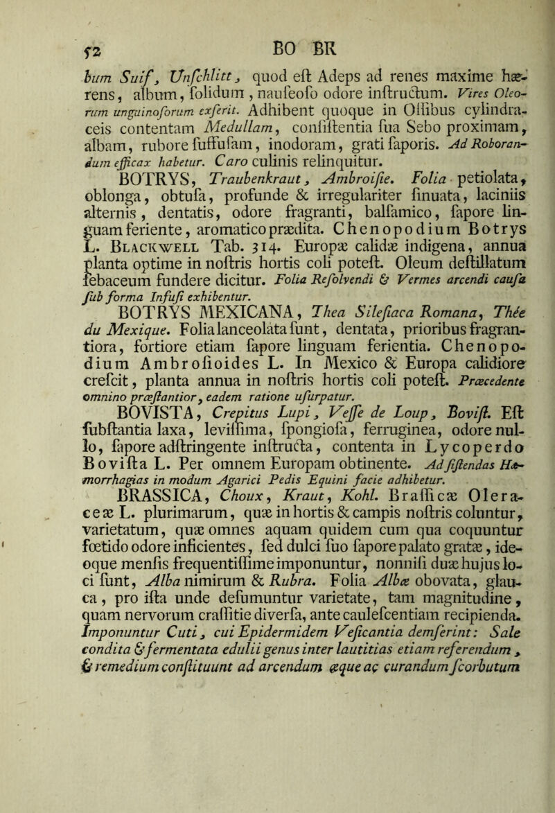 f2 BO BR bum Suifj Unfihlitt „ quod eft Adeps ad renes maxime hae- rens, album, folidum , naufeofo odore infixu ctum. Vires Oleo- rum unguinoforum exferit. Adhibent quoque in OHibus cylindra- ceis contentam Medullam, confiftentia fua Sebo proximam, albam, rubore fuffufam, inodoram, grati laporis. Ad Roboran- dum efficax habetur. Caro culinis relinquitur. BOTRYS, Traubenkraut, Ambroifie. Folia petiolata , oblonga, obtufa, profunde & irregulariter finuata, laciniis alternis , dentatis, odore fragranti, balfamico, fapore lin- guam feriente, aromatico praedita. Chenopodium Botrys L. Blackwell Tab. 314. Europae calidae indigena, annua planta optime in noffcris hortis coli poteft. Oleum deftillatum febaceum fundere dicitur. Folia Refolvendi 6? Vermes arcendi caufa fub forma Infufi exhibentur. BOTRYS MEXICANA, Thea Silefiaca Romana, Thie du Mexique. Folialanceolatafunt, dentata, prioribus fragran- ti ora, fortiore etiam fapore linguam ferientia. Chenopo- dium Ambrolioides L. In Mexico & Europa calidiore crefcit, planta annua in noftris hortis coli poteft. Praecedente omnino prcefiantior, eadem ratione ufurpatur. BOVISTA, Crepitus Lupi, Vejfe de Loup, Bovift. Eft fubftantia laxa, leviliima, fpongiofa, ferruginea, odore nul- lo, faporeadftringente inftrufta, contenta in Lycoperdo Bovifta L. Per omnem Europam obtinente. AdfJlendasH morrhagias in modum Agarici Pedis Equini facie adhibetur. BRASSICA, Choux, Kraut, Kohl. Brafticae Olera- ceae L. plurimarum, quae in hortis & campis noftris coluntur , varietatum, quae omnes aquam quidem cum qua coquuntur foetido odore inficientes, fed dulci fuo fapore palato grata;, ide- oque menfis frequentilfime imponuntur, nonnili duae hujus lo- ci funt, Alba nimirum & Rubra. Folia Alba obovata, glau- ca , pro ifta unde defumuntur varietate, tam magnitudine, quam nervorum craifitie diverfa, ante caulefcentiam recipienda. Imponuntur Cuti 3 cui Epidermidem Veficantia demferint: Sale condita & fermentata edulii genus inter lautitias etiam referendum > Id remedium conflituunt ad arcendum gqueac curandum fcorbutum