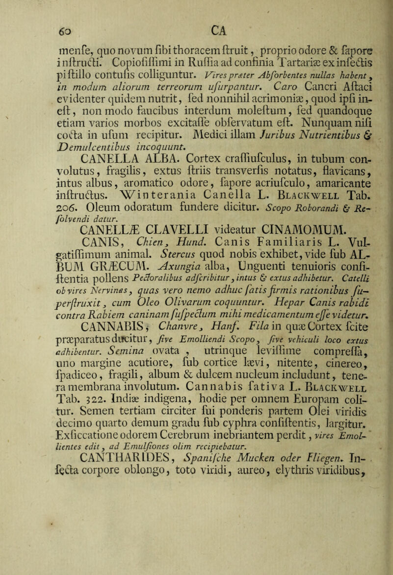 mente, quo novum fibi thoracem ftruit, proprio odore & fapore i nftrufti. Copiofifiimi in Ruflia ad confinia Tartarim ex infeTis piftiilo contulis colliguntur. Virespretter Abforbentes nullas habent y in modum aliorum terreorum ufurpantur. Caro Cancri Aftaci evidenter quidem nutrit, fed nonnihil acrimonias, quod ipfi in- eft, non modo faucibus interdum moleftum, fed quandoque etiam varios morbos excitalfe obfervatum eft. Nunquam nili codta in ufum recipitur. Medici illam Juribus Nutrientibus & Demulcentibus incoquunt. CANELLA ALBA. Cortex crafliufculus, in tubum con- volutus, fragilis, extus ftriis transverfis notatus, flavicans, intus albus, aromatico odore, fapore acriufculo, amaricante inftrudus. Winterania Canella L. Blackwell Tab. 206. Oleum odoratum fundere dicitur. Scopo Roborandi & Re- folvendi datur. CANELLA: CLAVELLI videatur CINAMOMUM. CANIS, Chi en , Hund. Canis Familiaris L. Vul- gatiffimum animal. Stercus quod nobis exhibet, vide fub AL- BUM GRiECUM. Axungia alba, Unguenti tenuioris confi- dentia pollens Pectoralibus adfcribitur , intus & extus adhibetur. Catelli ob vires Nervinas , quas vero nemo adhuc fatis firmis rationibus fu- perfruxit 3 cum Oleo Olivarum coquuntur. Hepar Canis rabidi contra Rabiem caninam fufpeclum mihi medicamentum ejfe videtur. CANNABIS* Chanvre3 Hanf. Fila in quaeCortex fcite praeparatus ducitur, five Emolliendi Scopo, five vehiculi loco extus adhibentur. Semina ovata , utrinque levillime compreda, uno margine acutiore, fub cortice laevi, nitente, cinereo, fpadiceo, fragili, album & dulcem nucleum includunt, tene- ra membrana involutum. Cannabis fativa L. Blackwell Tab. 522. Indiae indigena, hodie per omnem Europam coli- tur. Semen tertiam circiter fui ponderis partem Olei viridis decimo quarto demum gradu fub cyphra confidentis, largitur. Exficcatione odorem Cerebrum inebriantem perdit, vires Emol- lientes edit, ad Emulfiones olim recipiebatur. CANTHARIDES, Spanifche Mucken oder Fliegen. In- fecta corpore oblongo, toto viridi, aureo, elythris viridibus.