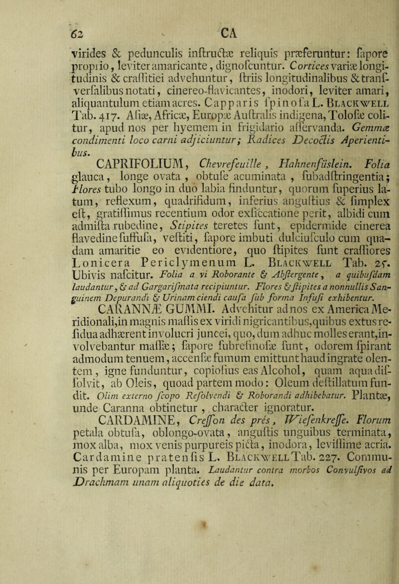 ■virides & pedunculis inftrudac reliquis proferuntur: fapore proprio, leviter amaricante, dignofcuntur. Cortices vario longi- tudinis & craffitiei advehuntur, Uriis longitudinalibus &tran£ verbalibus notati, cinereo-flavicantes, inodori, leviter amari, aliquantulum etiam acres. Capparis fp in o fa L. Blackwell Tab. 417. Aliae, Africo, Europo Auftralis indigena, Tolofo coli- tur, apud nos per hyemem in frigidario affervanda. Gemmee, condimenti loco carni adjiciuntur; Radices Decoclis Aperienti- bus. CAPRIFOLIUM, Chevrefeuille y Hahnenfuslein. Folia glauca, longe ovata , obtufe acuminata , fubadftringentia; i lore s tubo longo in duo labia finduntur, quorum fuperius la- tum, reflexum, quadrifidum, inferius anguftius & fimplex eft, gratiflimus recentium odor exficcatione perit, albidi cum admifta rubedine, Stipites teretes funt, epidermide cinerea flavedinefuffufa, veftiti, fapore imbuti dulciufculo cum qua- dam amaritie eo evidentiore, quo ftipites funt crafliores Lonicera Periclymenum L. Blackwell Tab. 2f. Ubivis nafeitur. Folia a vi Roborante & Abflergente, a quibujdam laudantur, & ad Gargarifrnata recipiuntur. Flores &Jlipites a nonnullis San- guinem Depurandi & Urinam ciendi caufa Jub forma Infufi exhibentur. CARANNiE GU AI MI. Advehitur ad nos ex America Me- ridionali,in magnis mallis ex viridi nigricantibus,quibus extus re- fidua adhorent involucri juncei, quo, dum adhuc molles erant,in- volvebantur maflo; fapore fubrefinofo funt, odorem fpirant admodum tenuem, accenfe fumum emittunt haud ingrate olen- tem , igne funduntur, copiolius eas Alcohol, quam aquadif- folvit, ab Oleis, quoad partem modo: Oleum deftillatumfun- dit. Olim externo fcopo Refolvendi & Roborandi adhibebatur. Plantae, unde Caranna obtinetur , clvarader ignoratur. CARDAMINE, Crejfon des pres, TDiefenkreJfe. Florum petala obtufa, oblongo-ovata, anguftis unguibus terminata, mox alba, mox venis purpureis pida, inodora, leviflime acria. Carda m i n e p r a t e n fi s L. Blackwell Tab. 227. Commu- nis per Europam planta. Laudantur contra morbos Convuljivos ad Drachmam unam aliquoties de die data.