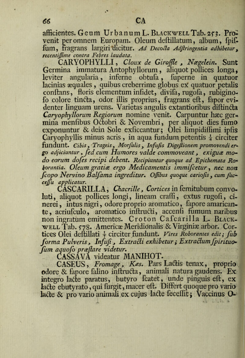 afficientes. Geum Urbanum L. BlackwellTab. 2n* Pro- venit per omnem Europam. Oleum deftillatum, album, fpik fum, fragrans largiri‘dicitur. Ad Decocla Adjlringentia adhibetur, recentijfime contra Febres laudata. CARYOPHYLLI, CIoux de Giroffle y Naegelein. Sunt Germina immatura Antophyllorum, aliquot pollices longa, leviter angularia, inferne obtufa, fuperne in quatuor lacinias aequales , quibus creberrime globus ex quatuor petalis conflans, floris elementum infidet, divifa, rugofa, rubigino- fo colore tin&a, odor illis proprius, fragrans elt, fanor evi- denter linguam urens. Varietas angulis extantioribus diftin&a Caryophy Horum Regiorum nomine venit. Carpuntur haec ger- mina menfibus Oftobri & Novembri, per aliquot dies fumo exponuntur & dein Sole exficcantur; Olei limpidiffimi ipfis Caryophyllis minus acris , in aqua fundum petentis i circiter fundunt. Cibis y Trageis, Morfulis , Infufis Digeflionem promovendi er* go adjiciuntur y fed cum Humores valde commoveant, exiguae mo- do eorum dofes recipi debent. Recipiuntur quoque ad Epithemata Ro- borantia. Oleum gratiae ergo Medicamentis immifcetur, nec non fcopo Nervino Balfama ingreditur. Offibus quoque cariojis , cum fuc- cejfu applicatur. CASCARILLA, Chacrille, Cortices in femitubum convo- luti, aliquot pollices longi, lineam crafli, extus rugofi, ci- nerei , intus nigri, odore proprio aromatico, fapore amarican- te, acriufculo, aromatico inflrufti, accenli fumum naribus non ingratum emittentes. Croton Cafcarilla L. Black- well Tab. <) 78* Americae Meridionalis & Virginiae arbor. Cor- tices Olei deflillati j circiter fundunt. Vires Roborantes edit; fub forma Pulveris y Infufi, Extracli exhibetur ,* Extraclum fpirituo- fum aquofo praedare videtur. CASSAVA videatur MANIHOT. CASEUS, Fromage, Kas. Pars La&is tenax, proprio odore & fapore falino inflrufta, animali natura gaudens. Ex integro laitle paratus, butyro fcatet, unde pinguis efl, ex lade ebutyrato, qui furgit, macer efl:. Differt quoque pro vario la&e & pro vario animali ex cujus la&e feceflit i Vaccinus O-