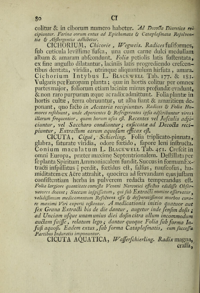 colitur & in ciborum numero habetur. Ad Decada Diuretica re- cipiuntur. Farina eorum ex tus ad Epithemata & Cataplafmata ReJolv en- tia & Abfiergentia adhibetur. CICHORIUM, Chicoree y Wegweis. Radices fu fi formes, fub cuticula leviffime'fufca, una cum came dulci medullam albam & amaram abfcondunt. Folia petiolis latis fuftentata, ex fine angufto dilatantur, laciniis latis progrediendo crefcen- tibus dentata, viridia, utrinque aliquantulum hirfuta , amara. Cichorium Intybus L. Blackwell Tab. 177. & 183. Vulgaris per Europam planta; quae in hortis colitur per omnes partes major, foliorum etiam lacinias minus profundas evadunt, &non raro purpuram aeque ac radix admittunt. Folia plantae in hortis cultas, terra obruuntur, ut alba fiant & amaritiem de- ponant , quo facto in Acetaria recipiuntur. Radices & Folia Hu- mores refolvunt, unde Aperientes & Refrigerantes ipfis adfcribuntur vires > illarum frequentior, quam horum ufus ejl. Recentes vel Jufculis adji- ciuntur y vel Saccharo condiuntur; exficcatce ad Decocla reci- piuntur y Extra cluni earum aquofum efficax ejl, CICUTA, Ciguiy Schierling. Folia triplicato-pinnata, glabra, faturate viridia, odore foetido, fapore leni inftruda. Conium maculatum L. Blackwell Tab. 471. Crefcitin omni Europa, praeter maxime Septentrionalem. Deftillataper fe planta Spiritum Ammoniacalem fundit. Succus in formam Ex--' tradi infpifiatus perdit, foetidus elt, falfus, naufeofus, hu- miditatem ex Aere attrahit, quocirca ad fervandam ejusjuffcam confiftentiam herba in pulverem redada temperandus elt. Folia largiore quantitate comejla Veneni Narcotici ejfechis edidiffe Obfer- vatores docent; Succum infpijfatum, qui fub Extracli nomine ajfervatur 9 validifimum medicamentum Refolvens ejfe & defperatijjirnos morbos cura- re maximi Viri experti tejlantur. A medicationis initio quatuor aut fex Grana Extracli his de die dantur y augetur inde fenfim dofis ; ad Unciam ufque unam unius diei dojin citra ullum incommodum auclam fuijfe s relatum lego ; dantur quoque Folia Jub forma I11- fufi aquofi. Eadem extus y fub forma Cataplafmatis, cumfucceffu Fartibus Induratis imponuntur. CICUTA AQUATICA, TVafferfchierling. Radix magna, craifa,