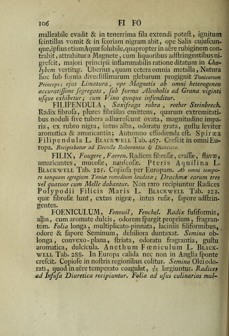 io6 FI FO malleabile evadit & in tenerrima fila extendi poteft, ignitum fcintillas vomit & in fcoriam nigram abit, ope Salis cujufcun- que,ipfius etiam Aquae folubile, quapropter in aere rubiginem con- trahit, attrahitur a Magnete, cum liquoribus adftringentibusni- grebat, majori principii inflammabilis ratione ditatum in C/zzz- 'lybem vertitur. Uberius ,quam cetera omnia metalla, Natura hoc fub forma diverfilfimarum glebarum progignit Tonicorum Princeps i ejus Limatura 3 ope Magnetis ab omni heterogeneo accuratijjime fegregata3 fub forma Alcoholis ad Grana viginti ufque exhibetur; cum Vino quoque infunditur. FILIPENDULA , Saxifraga rubra 3 rother Steinbrech. Radix fibrofa, plures fibrillas emittens, quarum extremitati- bus noduli five tubera adhaerefcunt ovata, magnitudine impa- ria, ex rubro nigra, intus alba, odoratu grata, guftu leviter aromatica & amaricantia; Autumno effodienda eft. Spirae a Filipendula L. Bla ck well T ab. 467. Crefcit in omni Eu- ropa. Recipiebatur ad Decocla Roborantia & Diuretica, FILIX, Fougere 3 Farren. Radices fibroPae, craftae, flavae, amaricantes, mucofae, naufeofae. P t e r i s A q u i 1 i n a L. Blackwell Tab. 327. Copiofa per Europam. Ab omni tempo- re tanquam egregium Tiniae remedium laudatae; Drachmae earum tres vel quatuor cum Melie dabantur. Non raro recipiuntur Radices Polypo dii Filicis Maris L. Blackwell Tab. 323. quae fibrofie funt, extus nigrae, intus rufae, fapore adftrin- gentes. FOENICULUM, Fenouif Fenchel. Radix fufiformis, alba, cum aromate dulcis, odorem fpargit proprium , fragran- tem. Folia longa, multiplicato-pinnata, laciniis filiformibus* , odore & fapore Seminum, debiliora duntaxat. Semina ob- longa, convexo - plana, ftriata, odoratu fragrantia, guftu aromatica, dulcicula. Anethum Foeniculum L. Black- well Tab. 288* In Europa calida nec non in Anglia fponte crefcit. Copiofe in noftris regionibus colitur. Semina Olei odo- rati, quod in aere temperato coagulat, 2V largiuntur. Radices ad Infufa Diuretica recipiuntur. Folia ad ufus culinarios mul-