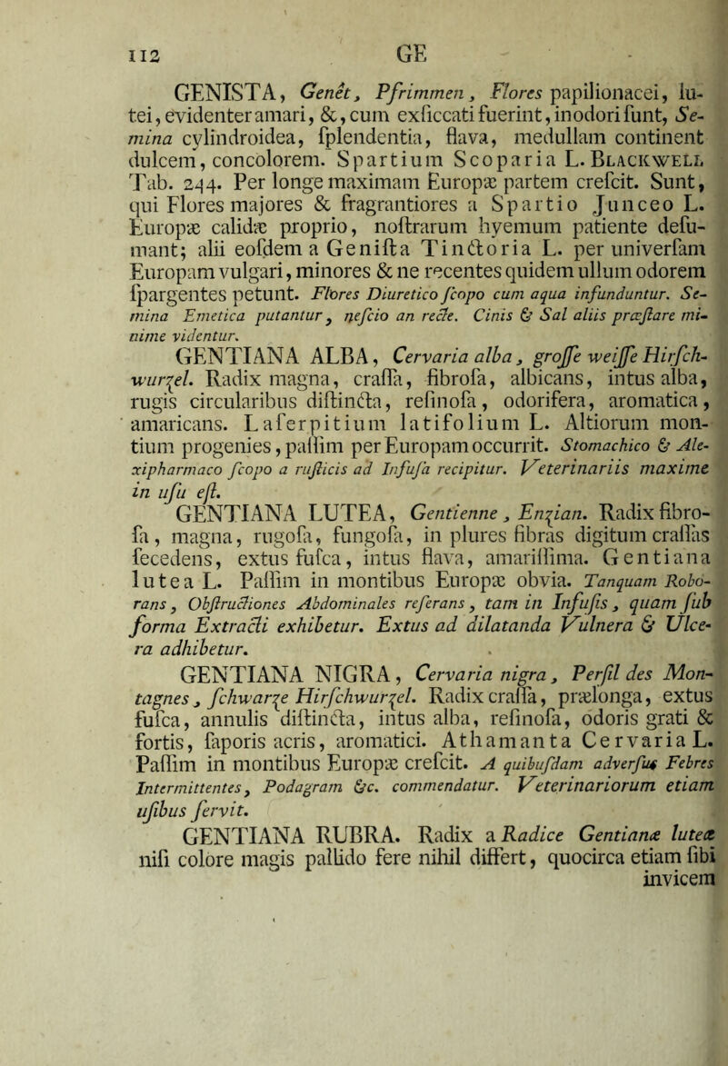 GENISTA, Genet, Pfrimmen, Flores papilionacei, lu- tei, evidenter amari, &,cum exficcati fuerint, in odori funt, Se- mina cylindroidea, fplendentia, flava, medullam continent dulcem, concolorem. Spartium Scopar ia L. Blackwell Tab. 2-14. Per longe maximam Europae partem crefcit. Sunt, qui Flores majores & fragrantiores a Spartio Junceo L. Europae calidas proprio, noftrarum hyemum patiente defu- mant; alii eofdem a Genifta Tin&oria L. per univerfani Europam vulgari, minores & ne recentes quidem ullum odorem fpargentes petunt. Flores Diuretico Jcopo cum aqua infunduntur. Se- mina Emetica putantur } nefeio an recle. Cinis & Sal aliis preeflare mi- nime 'videntur. GENTIANA ALBA, Cervaria alba 3 grojfe weijfe Hirfch- wur^el. Radix magna, crafla, fibrofa, albicans, intus alba, rugis circularibus diftinda, refinofa, odorifera, aromatica, amaricans. Laferpitium latifolium L. Altiorum mon- tium progenies, paflim per Europam occurrit. Stomachico & Ale- ocipharmaco fcopo a ruflicis ad Infufa recipitur. Veterinariis maxime in ufu efl. GENTIANA LUTEA, Gentienne 3 Enqian. Radix fibro- fa , magna, rugofii, fungofa, in plures fibras digitumcraflas fecedens, extus fufea, intus flava, amariflima. G e n t i a n a lutea L. Paflim in montibus Europae obvia. Tanquam Robo- rans , Obflrucliones Abdominales referans, tam in Infufis 3 quam fub forma Extracti exhibetur. Extus ad dilatanda Vulnera & Ulce- ra adhibetur. GENTIANA NIGRA, Cervaria nigra, Perfil des Mon- tagnes > fchwar^e Hirfchwur^el. Radix crafla, praelonga, extus fufea, annulis dillinda, intus alba, refinofa, odoris grati & fortis, faporis acris, aromatici. Athamanta Cervaria L. Paflim in montibus Europae crefcit. A quibufdam adverfu4 Febres Intermittentes, Podagram &c. commendatur. Veterinariorum etiam ufibus fervit. GENTIANA RUBRA. Radix a Radice Gentiance lutett nifi colore magis pallido fere nihil differt, quocirca etiam fibi invicem