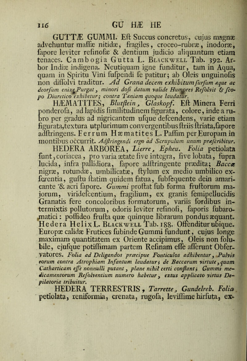 GUTTiE GUMMI. Eft Succus concretus, cujus magnae advehuntur maffic nitidae, fragiles, croceo-rubras, inodorae, fapore leviter refinofe & dentium judicio aliquantum etiam tenaces. Cambogia Gutta L. Blackwell Tab. 392. Ar- bor Indiae indigena. Neutiquam igne funditur, tam in Aqua, quam in Spiritu Vini fufpendi fe patitur; ab Oleis unguinofis non diffolvi traditur, x4d Grana decem exhibitumfurfum <zque ac deorfum enixe Purgat, minori dofi datum valide Humores Refolvit & /co- po Diuretico exhibetur; contra T&niam quoque laudatur. HiEMATITES, Blutftein, Glaskopf Eft Minera Ferri ponderola, ad lapidis limilitudinem figurata, colore, inde a ru- bro per gradus ad nigricantem ufque defcendens, varie etiam figurata,textura utplurimum convergentibus Uriis ftriata,fapore adftringens. Ferrum HasmatitesL. Paflim per Europam in montibus occurrit. Ad/lringendi ergo ad Scrupulum unum pne/cribitur. HEDERA ARBOREA, Lierre, Epheu. Folia petiolata funt, coriacea, pro varia astate live integra, five lobata, fupra lucida, infra pallidiora, fapore adftringente prasdita; Baccat nigras, rotundas, umbilicatas, ftylum ex medio umbilico ex- ferentia, gulfu ftatim quidem fatua, fubfcquente dein amari- cante '& acri fapore. Gummi prolfat fub forma fruflorum ma- jorum, viridefcentium, fragilium, ex granis femipellucidis Granatis fere concoloribus formatorum, variis fordibus in- termixtis pollutorum, odoris leviter relinoli, faporis fubaro- jnatici: poffideo frulla quae quinque librarum pondus aequant. Hedera HelixL. Blackwell Tab. 188- Offenditur ubique. Europas calidae Frutices fubinde Gummi fundunt, cujus longe maximam quantitatem ex Oriente accipimus, Oleis non folu- bile, ejufque potiffimam partem Refinam effe afferunt Obfer- Vatores. Folia ad Deligandos praecipue Fonticulos adhibentur, Pulvis eorum contra Atrophiam Infantum laudatur; de Baccarum virtute, quam Catharticam e/fe nonnulli putant, plane nihil certi confiant > Gummi me- dicamentorum Refolventium numero habetur, extus applicato virtus De- pilatoria tribuitur. HEDERA TERRESTRIS , Tarrette, Gundelreb. Folia petiolata, reniformia, crenata, rugofa, leviffime hirfuta, ex-