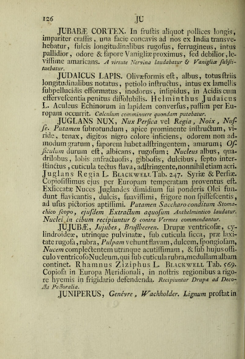 JUBABiE CORTEX. In frultis aliquot pollices longis, impariter crallis, una facie concavis ad nos ex India transve- hebatur, fulcis longitudinalibus rugofus, ferrugineus, intus pallidior, odore &lepore Vaniglheproximus, fed debilior, le- Viifime amaricans. A virtute Nervina laudabatur & Vanigliae fubjh~ tuebatur. JUDAICUS LAPIS. Olivaeformis eft, albus, totuslEriis longitudinalibus notatus, petiolo inftrudus, intus ex lamellis fubpellucidis efformatus, inodorus, inlipidus, in Acidis cum elfervefcentiapenitus diffolubilis. Helminthus Judaicus L. Aculeus Echinorum in lapidem converfus, paflim per Eu- ropam OCCUrrit. Calculum comminuere quondam putabatur. JUGLANS NUX, Nux Perfica vel Regia, Noix, Nufi fi’. Putamen fubrotundum , apice prominente inltrudum, vi- ride , tenax, digitos nigro colore inficiens, odorem non ad- modum gratum, faporem habetadftringentem, amarum; Ofi ficulum durum elt, albicans, rugo fu m; Nucleus albus, qua- drilobus, lobis an fractu olis, gibbolis, dulcibus, fepto inter- Itindus , cuticula tedus Hava, adltringente,nonnihil etiam acri. Juglan s Regia L. BlackwellTab. 247. Syrias & Pedias. Copiolillimus ejus per Europam temperatam proventus elt. Exficcatee Nuces Juglandes dimidium fui ponderis Olei fun- dunt flavicantis, dulcis, fuaviffimi, frigore non lpilfefcentis, ad ufus pictorios aptilfuni. Putamen Saccharo conditum Stoma- chico fcopo j ejufdem Extractum aquofum Anthelmintico laudatur. Nuclei in cihum recipiuntur & contra Vermes commendantur. JUJUBiE, Jujuhes 3 Brtifbeeren. Drupae ventricolae, cy- lindroideae, utrinque pulvinatae, fub cuticula licca, pne laxi- tate rugoia, rubra, Pulpam vehunt flavam, dulcem, fpongiofam, Nucem compledentem utrinque acutillimam, & fub hujus offi- culo ventricofoNucleum,qui lub cuticula rubra,medullam albam continet. Rhamnus Ziziphus L. Blackwell Tab. f69. Copiofa in Europa Meridionali, in nottris regionibus a rigo- re hyemis in frigidario defendenda. Recipiuntur Drup<& ad Deco- xta Pe dor ali a. JUNIPERUS, Genevre j tNachholder. Lignum proltatin