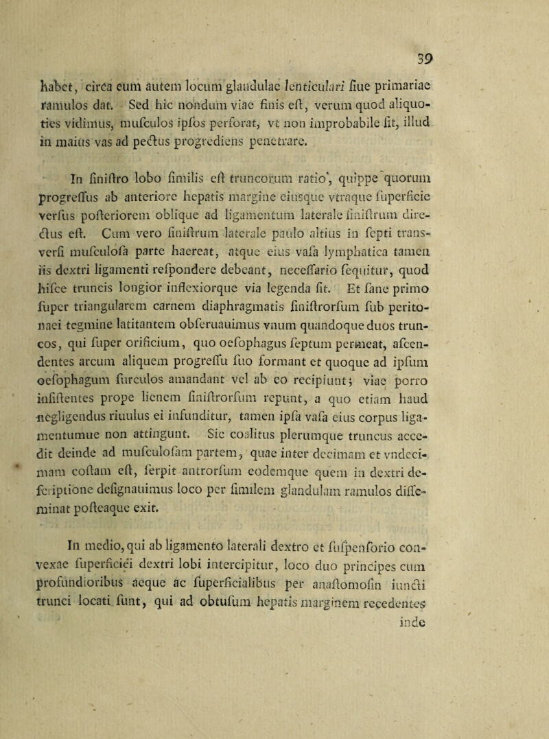 habet, circa eum autem locum glandulae lenticulari /lue primariae ramulos dat. Sed hic nondum viae finis eft, verum quod aliquo- ties vidimus, mufculos ipfos perforat, vt non improbabile fit, illud in maius vas ad pecftus progrediens penetrare. In finiflro lobo fimilis eft truncorum ratio, quippe quorum progrdTus ab anteriore hepatis margine eiusque vtraque fuperneie verfus pofteriorem oblique ad ligamentum laterale iiniftrum dire- dfus eft. Cum vero Iiniftrum laterale paulo altius in fepti trans- verfi mufculofa parte haereat, atque eius vafa lymphatica tamen iis dextri ligamenti refponderc debeant, neceffario (equitur, quod hifce truncis longior inflexiorque via legenda (it. Et fane primo fiiper triangularem carnem diaphragmatis finiftrorfum fub perito- naei tegmine latitantem obferuauimus vnum quandoque duos trun- cos, qui fuper orificium, quo oefophagus feptum permeat, afeen- dentes arcum aliquem progrefiu fuo formant et quoque ad ipfum oefophagum furculos amandant vel ab eo recipiunt; viae porro infiftentes prope lienem finiftrorfum repunt, a quo etiam haud -licgligendus riuulus ei infunditur, tamen ipfa vafa eius corpus liga- mentumue non attingunt. Sic coalitus plerumque truncus acce- dit deinde ad mufculofam partem, quae inter decimam et vndcci- mam coftam eft, ferpit antrorfum eodemque quem in dextri dc- feriptione defignauimus loco per ftmilem glandulam ramulos difte- minat pofteaque exit. In medio, qui ab ligamento laterali dextro et fufpenforio con- vexae fuperftciei dextri lobi intercipitur, loco duo principes cum profundioribus aeque ac fuperficialibus per anaftomofm iunefti trunci locati funt, qui ad obtufum hepatis marginem recedentes inde