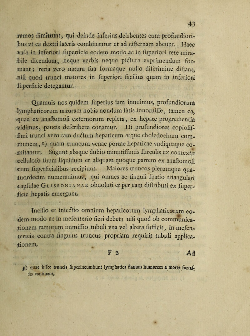 ramos dimittunt, qui deinde inferius delabentes cum profundiori- bus vt ca dextri lateris combinantur et ad cifternam abeunt. Haec vafa in inferiori fupcrficic eodem modo ac in fuperiori rete mira- bile dicendum, neque verbis neque pictura exprimendum for- mant 5 retia vero natura fua formaque nullo diferimine didant, nifi quod trunci maiores in fuperiori facilius quam in inferiori fuperficie detegantur. Quamuis nos quidem fuperius iam innuimus, profundiorum lymphaticorum naturam nobis nondum fatis innofcuiffe, tamen ea, quae ex anaflomofi externorum repleta, ex hepate progredientia vidimus, paucis deferibere conamur. Hi profundiores copiofif. fimi trunci vero tam duellum hepaticum atque choledochum com- munem, s) quam truncum venae portae hepaticae vndiquaque co- mitantur. Sugunt absque dubio minutiifimis furculis ex contextu cellulofo fuum liquidum et aliquam quoque partem ex anaflomofi cum fuperficialibus recipiunt. Maiores truncos plerumque aua- tuordecim numerauimus, qui omnes ac Unguli fpatio triangulari capfulae Glissonianae obuoluti et per eam difiributi ex fuper- ificie hepatis emergunt Incifio et iniedlio omnium hepaticorum lymphaticorum eo- dem modo ac in mefenterio fieri debet; nifi quod ob communica- tionem ramorum immiifio tubuli vna vel altera fufficit, in mefen- tericis contra fingulus truncus propriam requirit tubuli applica- tionem.. F 2 Ad \ \ ' ) quae liifce truncis fuper incumbunt lymphatica flamini humorem a morte fortaf fis continent.