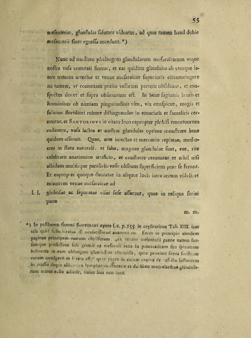 mefenterio, glandulas Tolutare videntur, ad quas tamen haud dubie jnefenterii fines egreflfa accedunt. *) ■ :i .: . : ■ r .i * • -. • * Nunc ad mediam phalangem glandularum mefaraicarum vsque floflra vafa comitati fumus, et eas quidem glandulas ab vtroque la- tere trulicos arteriae et venae mefaraicae fuperioris circumcingere ita tamen, vf conuexam potius vaforum partem obfldeant, etcon- fpetflus docet et fupra obferuatum efl. In bene faginatis brutis et hominibus ob nimiam pinguitudinis vim, vix confpicue, magis et felicius Roridiori rubore diflinguendae in emaciatis et famelicis cer- nuntur, et Santorinvs in citato loco eapropter phthifi emortuorum eadauera, vafa ladlea et noftras glandulas optime monflrare bene quidem afleruit. Quae, arte iniedtae et mercurio repletae, medio- cres in flatu naturali, vt faba, magnae glandulae funt, eae, rite celebrato anatomico artificio, et confluere cernuntur et nihil iiifi albidam multisque parallelis vafis oblitam fuperfleiem prae fe ferunt. Et eaprop-er quoque dumtaxat in aliquot locis intra arcum videlicet minorem venae mefaraicae ad 1. 1, globofae ac feparatae vilui fefe afferunt, quae in reliqua fexiei parte m. m. ) In poflbomo flimmi Santorini' epere I. c. p.155; in explicatione Tab. XIII. iatn tale qui.l tubo oratus oculat itiirus anatomi iis. £nun in principio eiusdem1 paginae principem ramum chyliferum „ex centro mefenterii paerte natum fur- fuu que piofechiirt fub grandi ea mefocofi vena in pancreaticam feu fplenicam' influente m eam oblongam glandulam iritrauifie, quae proxime fupra fiiiiftrain venam eimilgent in I- cata eft,‘' qnac porro in ea<'un pagina de eftelu ladleorum in craffis deque alii- orca lymphatica, (horaeis et de.fibris mukularibu» glandula- rum minus re&e adiecit, imius loci non lunt,