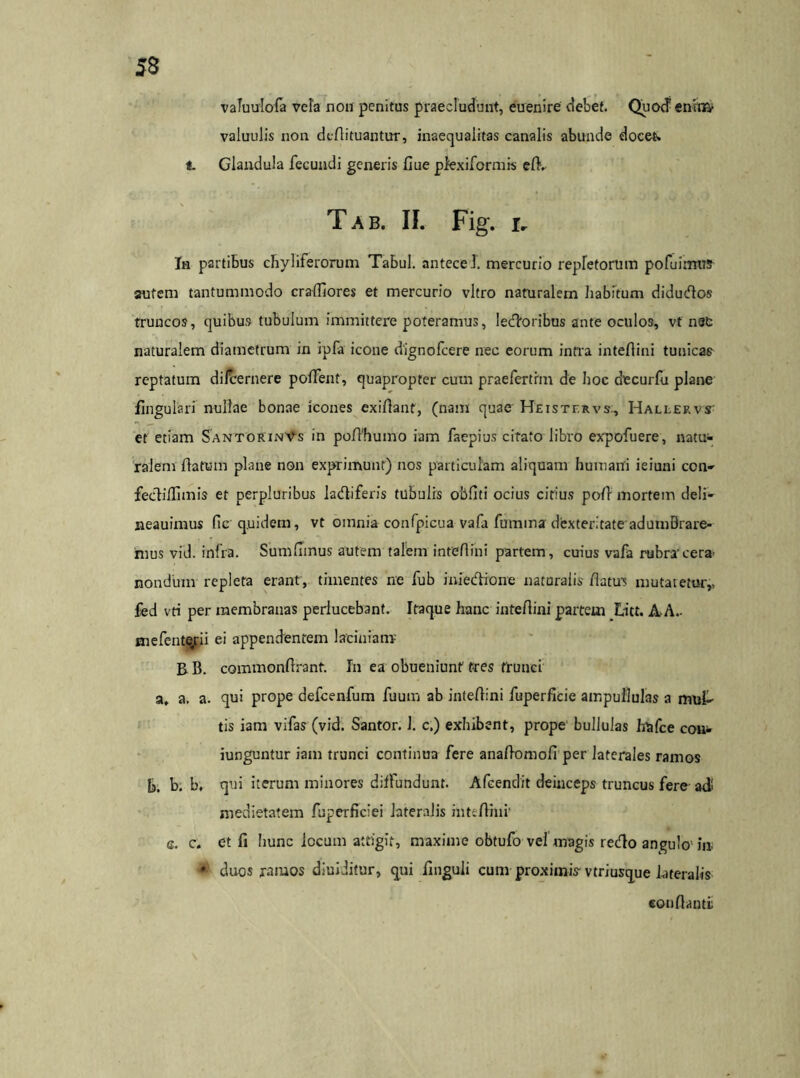 vaTuulofa vela non penitus praecludunt, euenire debet. Quod' enim- valuulis non dcflituantur, inaequalitas canalis abunde docet, t. Glandula fecundi generis fiue plexiformis eflv Tab. II. Fig. I. In partibus chyliferorum Tabui. anteceJ. mercurio repfetorum pofuimus autem tantummodo craffiores et mercurio vitro naturalem habitum didudos truncos, quibus tubulum immittere poteramus, Iedoribus ante oculos, vf net naturalem diametrum in ipfa icone dignofcere nec eorum intra inteflini tunicas reptatum dilternere polfent, quapropter cum praefertrm de hoc decurfu plane lingulari nullae bonae icones exiflant, (nam quae Heisttrys, Hallervs et etiam SantorinVs in poffhumo iam faepius citato libro expofuere, natu- ralem flatum plane non exprimunt) nos particulam aliquam humani ieiuni ccn- fediffimis et perpluribus ladiferis tubulis obfiti ocius citius poli mortem deli- neauimus fic q.uidem, vt oinnia confpicua vafa furnina dexteritate adumbrare- mus vid. infra. Sumfimus autem talem inteflini partem, cuius vafa rubra'cera' nondum repleta erant, timentes ne fub iniedrone naturalis flatus mutaretur,, fed vri per membranas perlucebant. Itaque hanc inteflini partem Liet. A-A.. mefente/ii ei appendentem laciniam B B. commonflrant. In ea obueniunt tres trunci a. a. a. qui prope defcenfum fuum ab inteflini fuperficie ampullulas a mul- tis iam vifas (vid. Santor. 1. c.) exhibent, prope bullulas hufce con- junguntur iam trunci continua fere anaflomofi per laterales ramos b. b. b, qui iterum minores dilfundunt. Afcendit deinceps truncus fere adi medietatem fuperficiei lateralis inteflini' e. c. et fi hunc locum attigit, maxime obtufo vel magis redo angulo in # duos ramos diuiditur, qui finguli cum proximis vtriusque lateralis conflanti