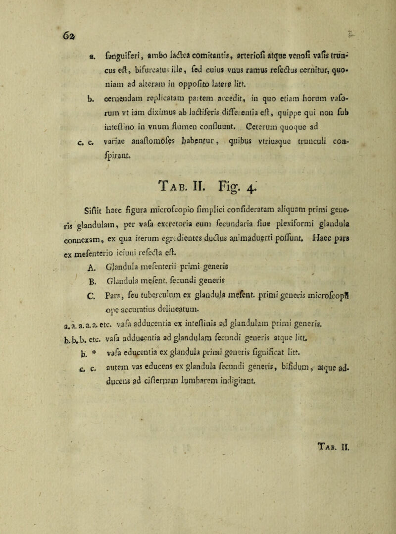 a. fatiguiferi, ambo ladlea comitantis, arteriofi atque venofi vafts trun- cus eft» bifurcatus ille, fed cuius vnus ramus refe&us cernitur, quo- niam ad alteram in oppoflto latere litt. b. cernendam replicatam partem accedit, in quo etiam horum vafo- rum vt iam diximus ab ladiferis diffeiemia efl, quippe qui non fub inteflino in vnum flumen confluunt. Ceterum quoque ad c. c. variae anaflomofes flabpnfur, quibus vtriusque trunculi coa» fpirant. Tab. II. Fig. 4. Siflit haec figura microfcopio flmplici confideratam aliquem primi gene- ris glandulam, per vafa excretoria cum fecundaria flue plexiformi glandula connexam, ex qua iterum egredientes duclus ajiimaduerti poflunt. Haec pars ex mefenterio ieiuni refeifla efl. A. Glandula mefenterii primi generis . # B. Glandula mefent. fecundi generis C. Pars, feu tuberculum ex glandula mefent. primi generis microfcopH ope accuratius delineatuui. a. a. a.a.a. etc. v\afa adducentia ex inteflinis ad glandulam primi generis. b. b.b. ctc. vafa adducentia ad glandulam fecundi generis atque litt, b. * vafa edu.centia ex glandula primi generis flgniflcat litt. c. c. autem vas educens ex glandula fecundi generis, bifidum, atque ad- ducens ad ciflerjiam lumbarem iadigitant.