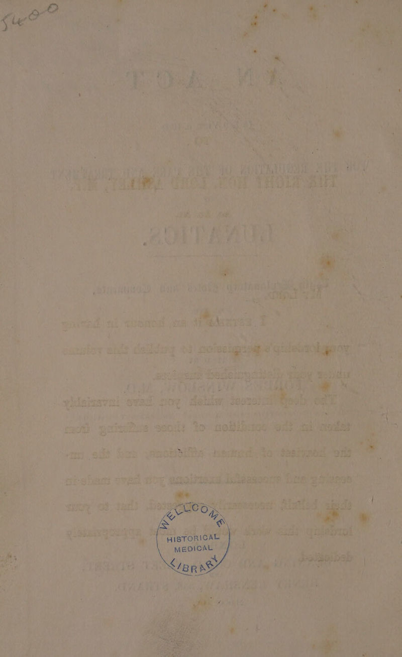 + ' Tey eid ye . Pa Pe ert ine My Kan ent oS “ it bot sachs is < ent vie te? % a