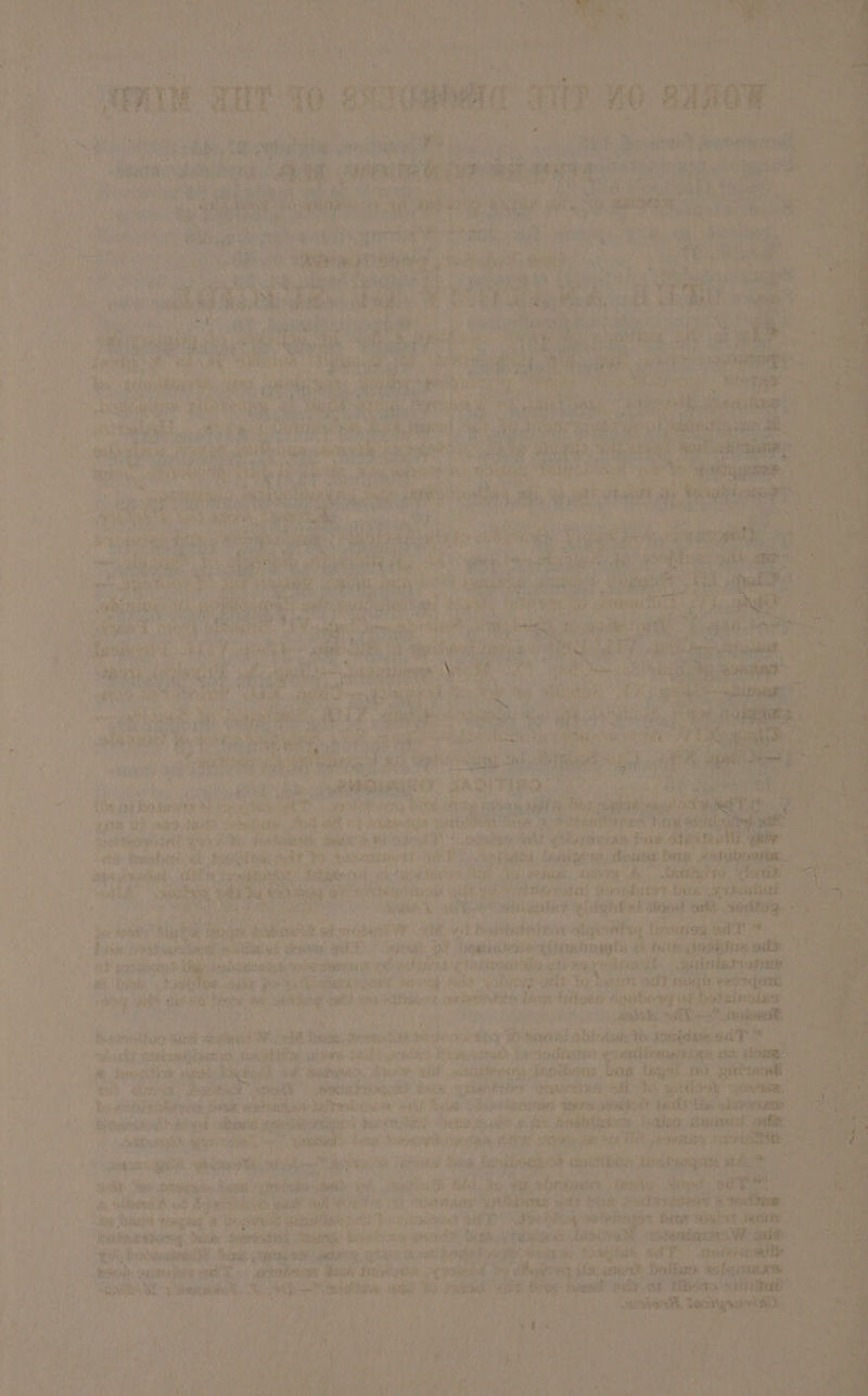 rf eee HSS TD tHe 1 cane hte ia + ners — hab byt ihe oun ya seni