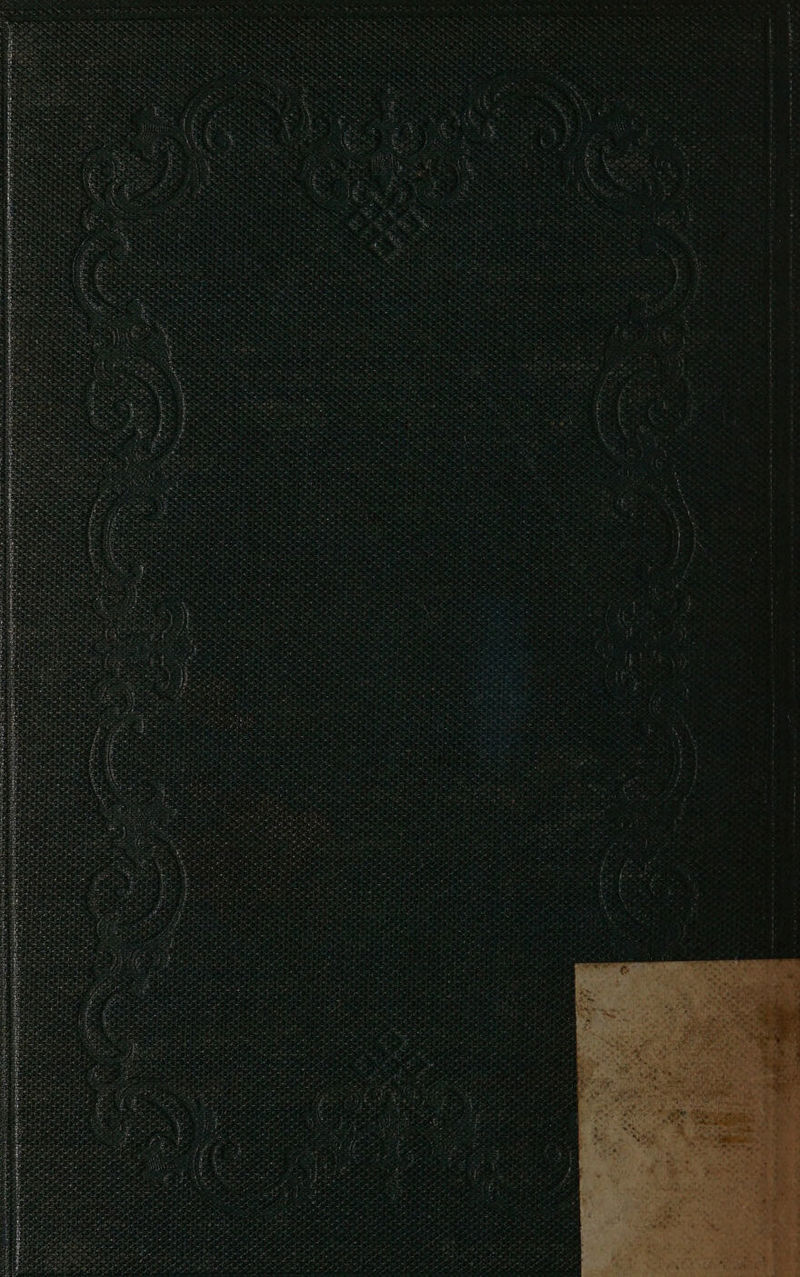 Ff Pat, PF Py rey ne o oe ni : uf ay Sette eae r vot sen Devas barn eave 2 eA pia ty Reeser! ese) v Papi pe NSE Sal ah af als oR ya)