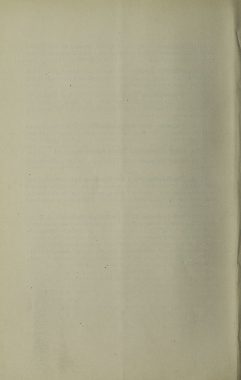 fi ,,.V„ :',rj>!l.*: .' ■ ^ - 'y, iiji; ■ ?’,wiV^' * ' ’' -'4^ ' . *'^'u^'j4'«i • iS^ .j/ -• % ■ . 't\^ * ■ p If' '**•*> V.*